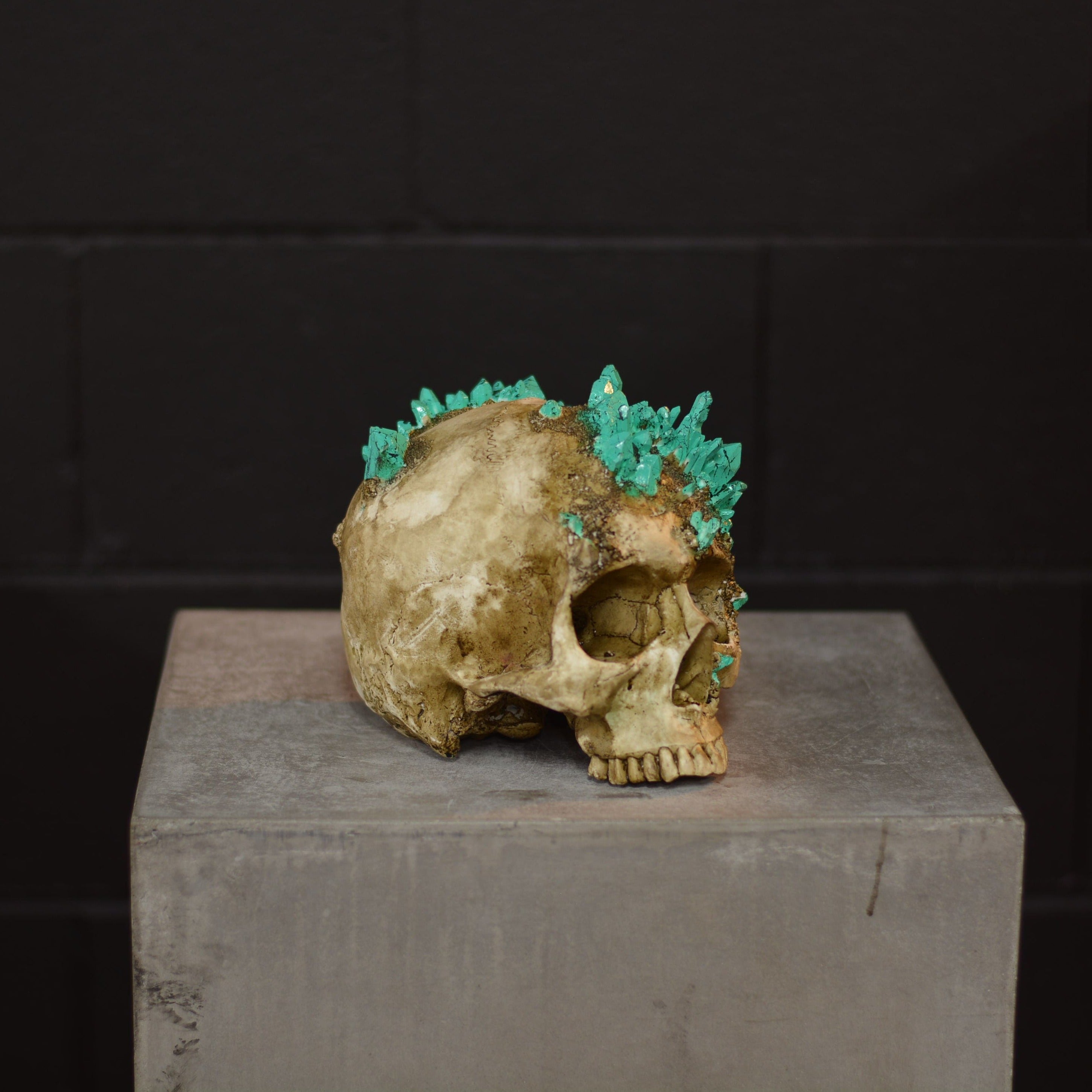 Amethyst Skull [EXPERIMENTAL] (1)