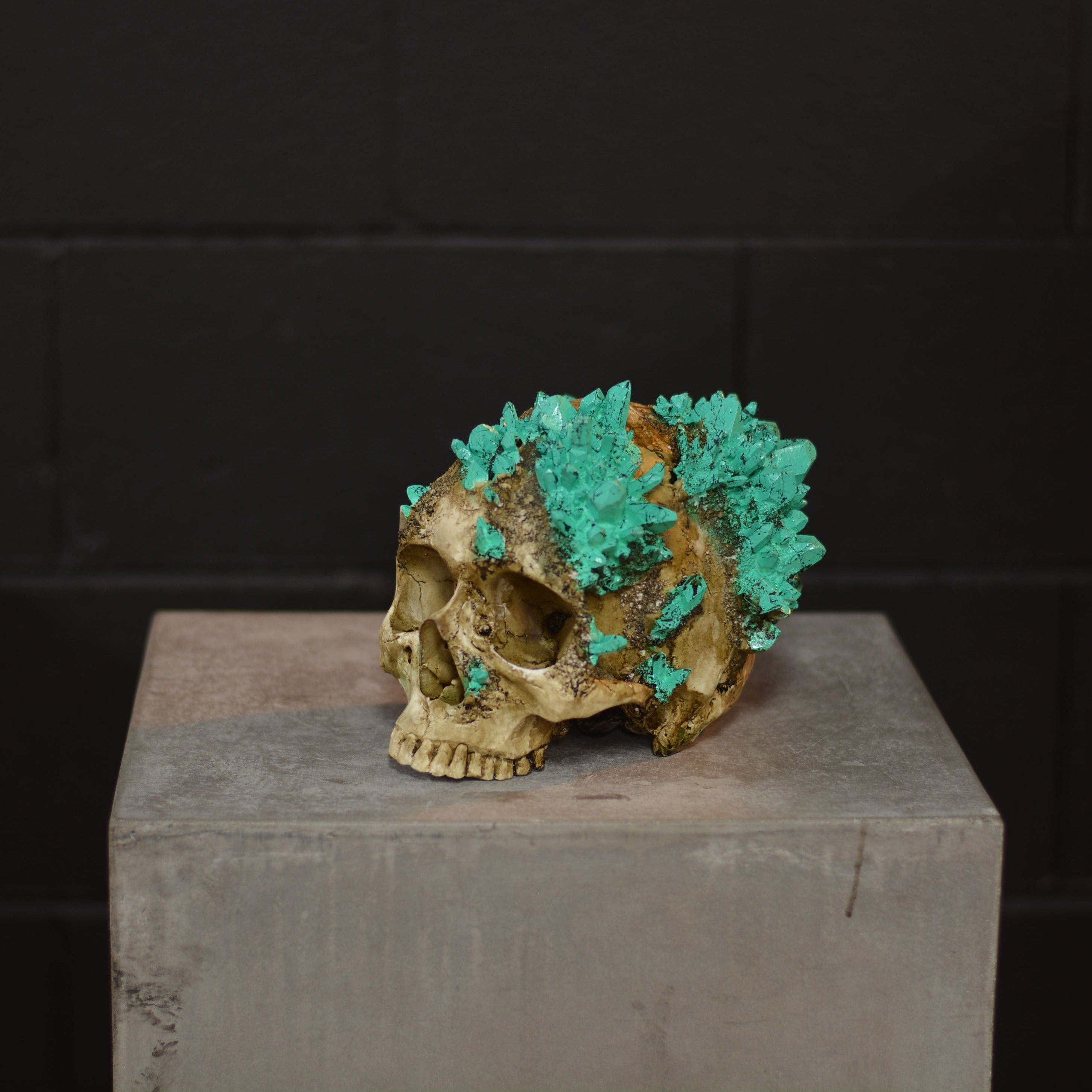 Amethyst Skull [EXPERIMENTAL] (1)