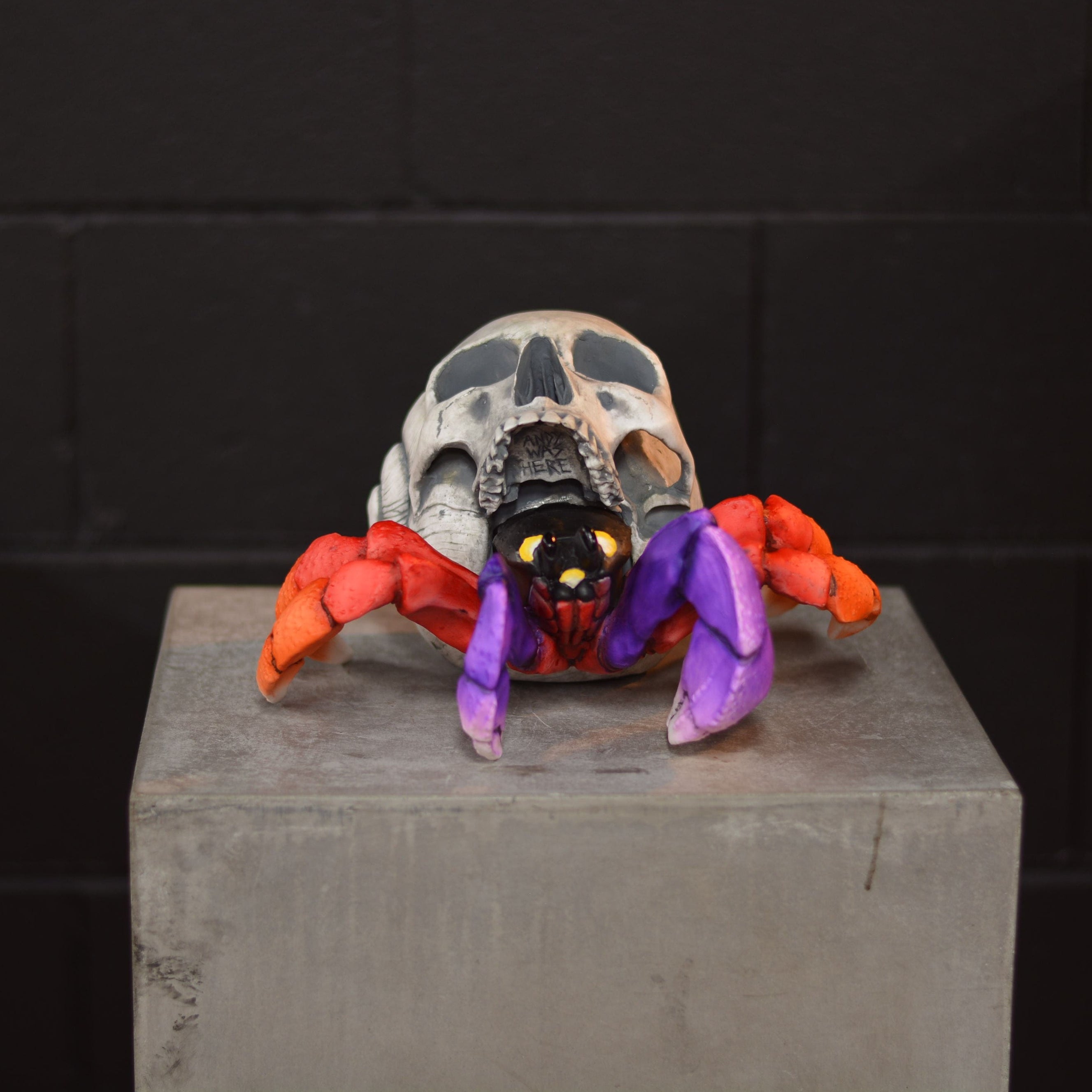 Hermit Crab Skull - Moon [EXPERIMENTAL PAINT]