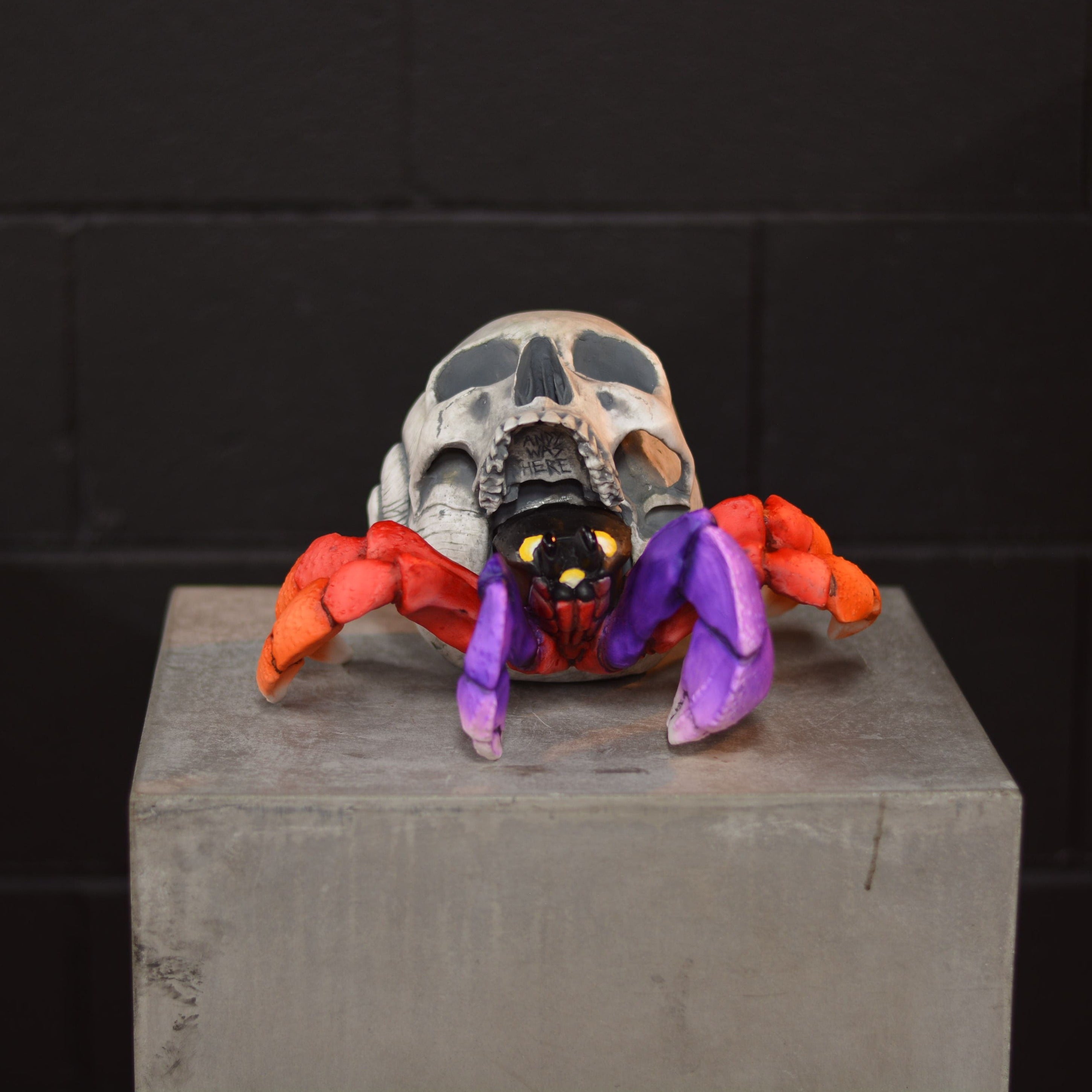 Hermit Crab Skull - Moon [EXPERIMENTAL PAINT]