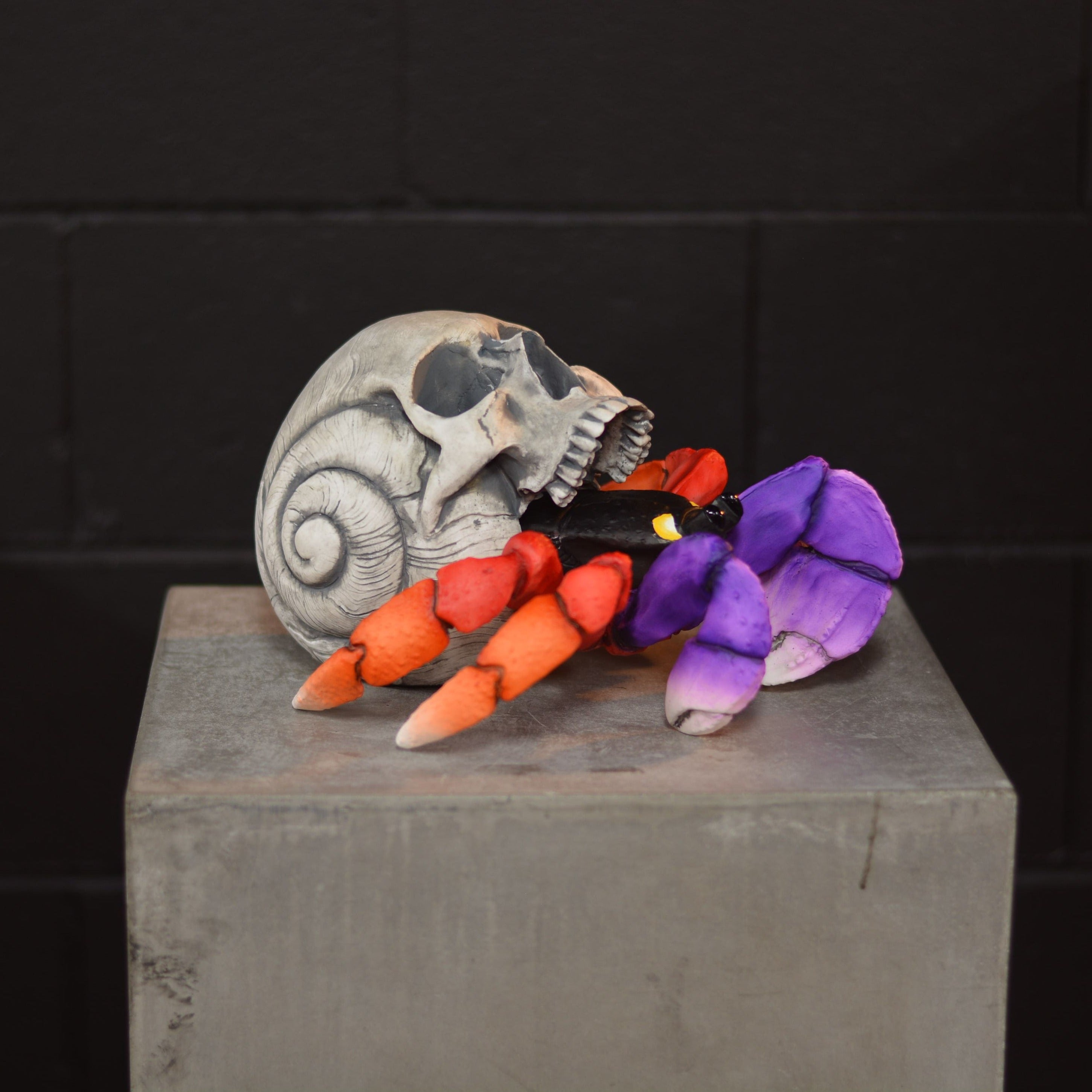 Hermit Crab Skull - Moon [EXPERIMENTAL PAINT]
