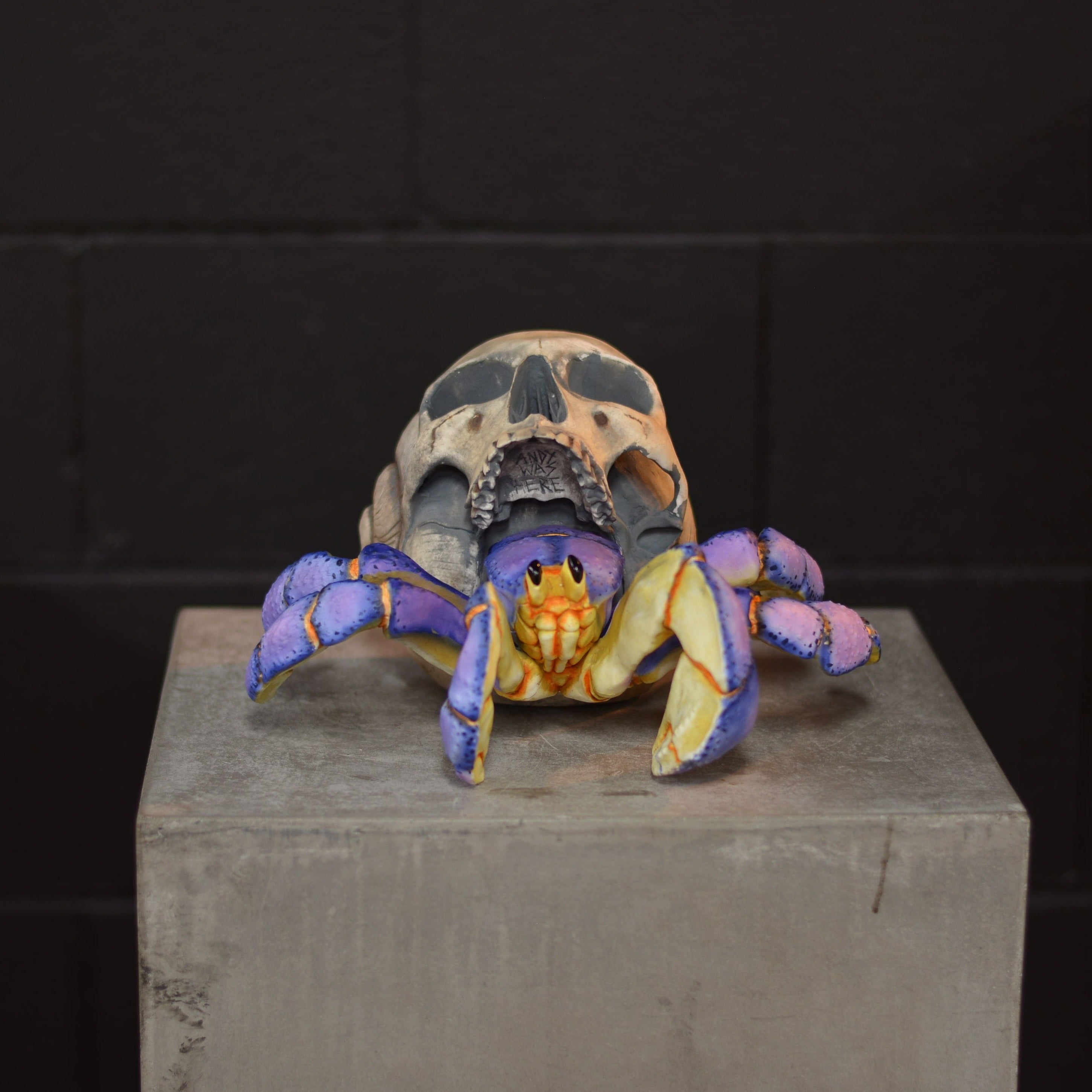 Hermit Crab Skull - Blueberry [EXPERIMENTAL PAINT]