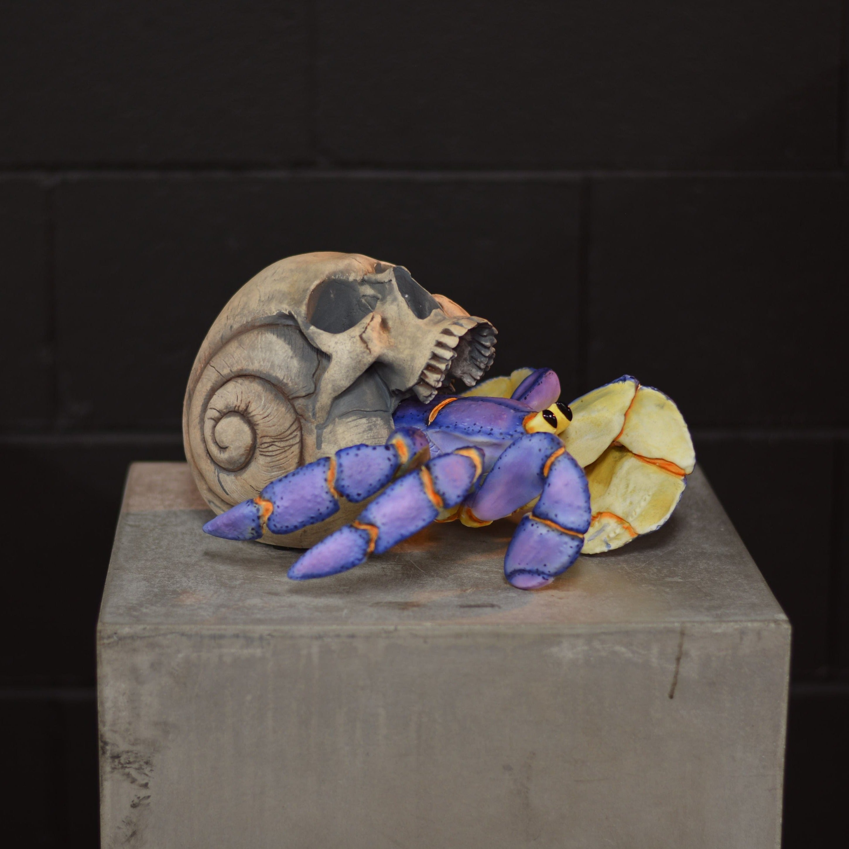 Hermit Crab Skull - Blueberry [EXPERIMENTAL PAINT]