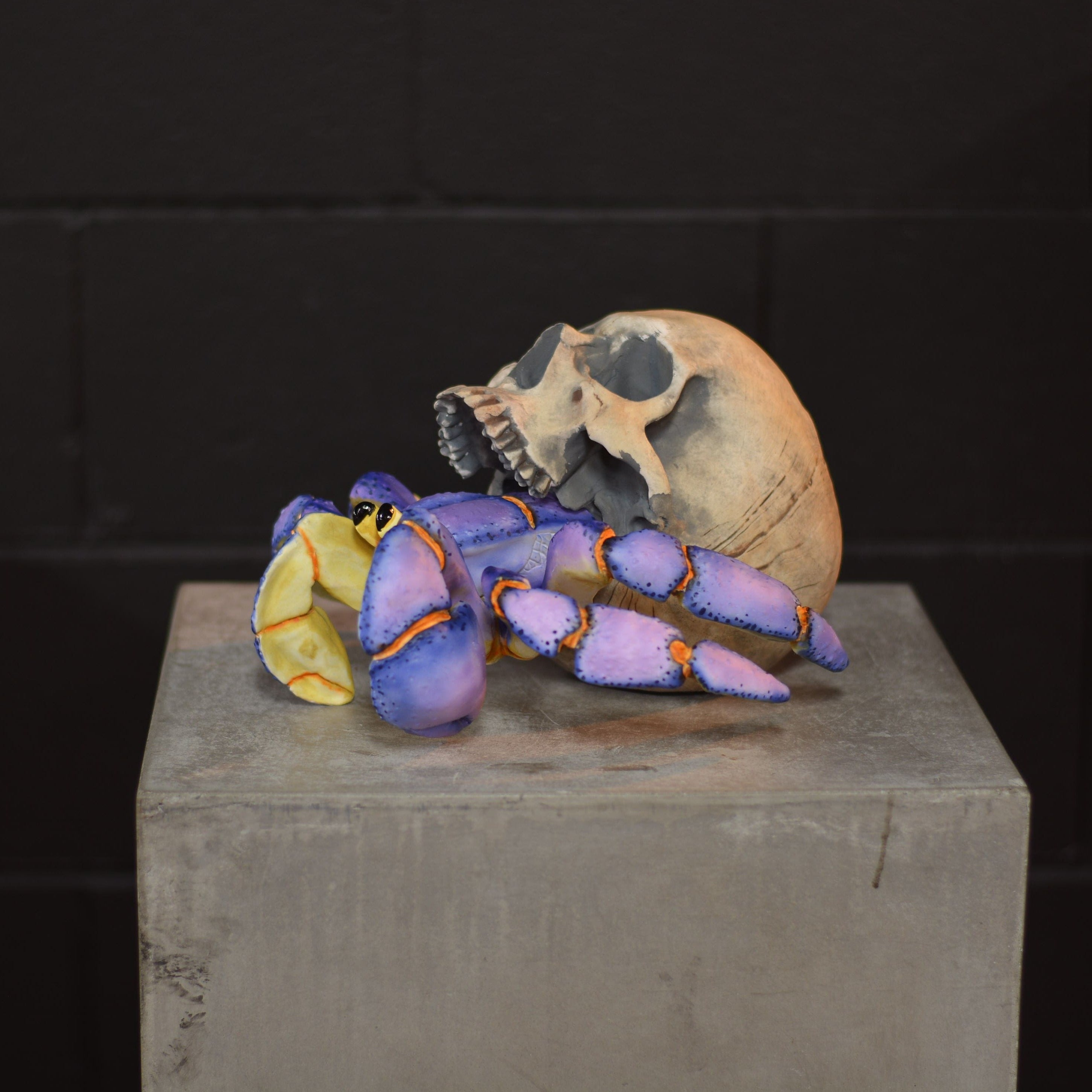 Hermit Crab Skull - Blueberry [EXPERIMENTAL PAINT]