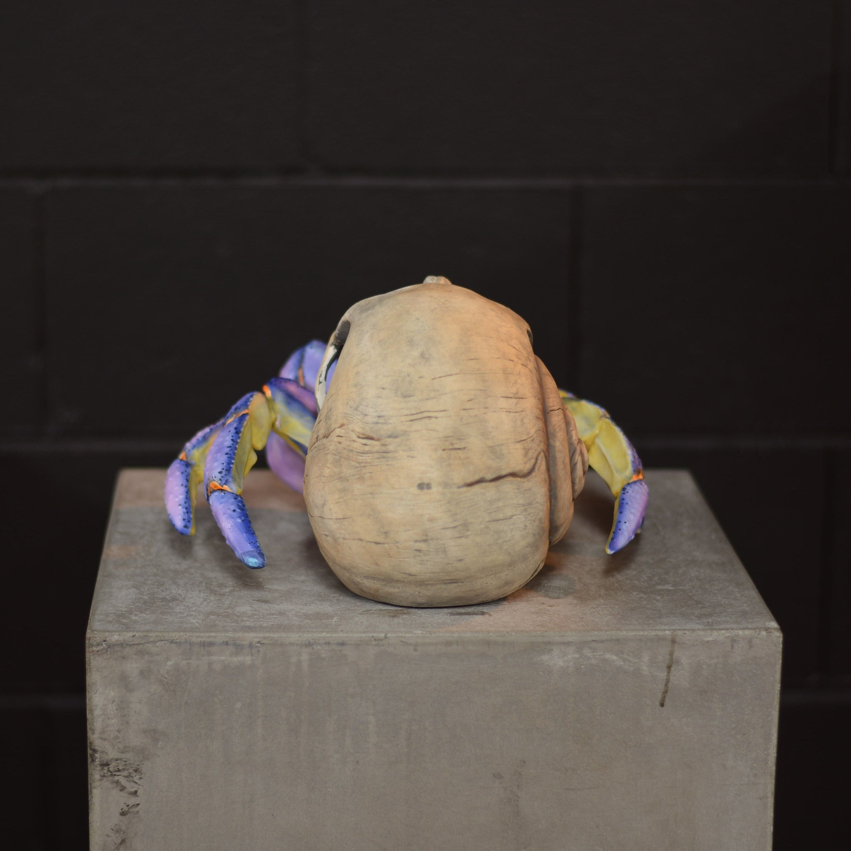 Hermit Crab Skull - Blueberry [EXPERIMENTAL PAINT]