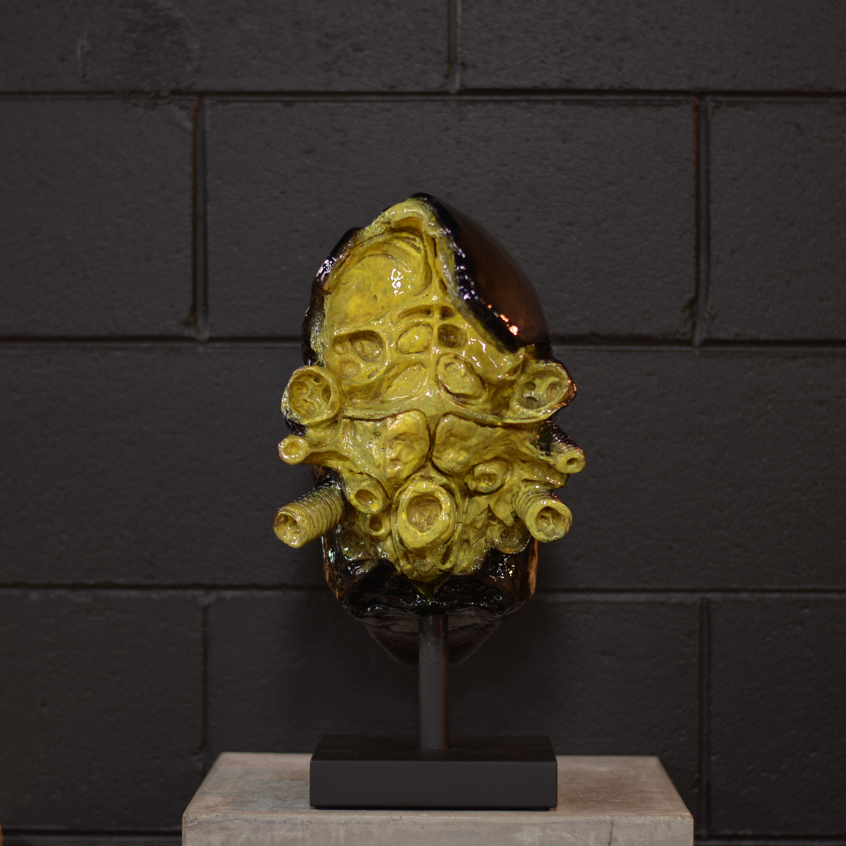 Xeno Trophy [EXPERIMENTAL PAINT]
