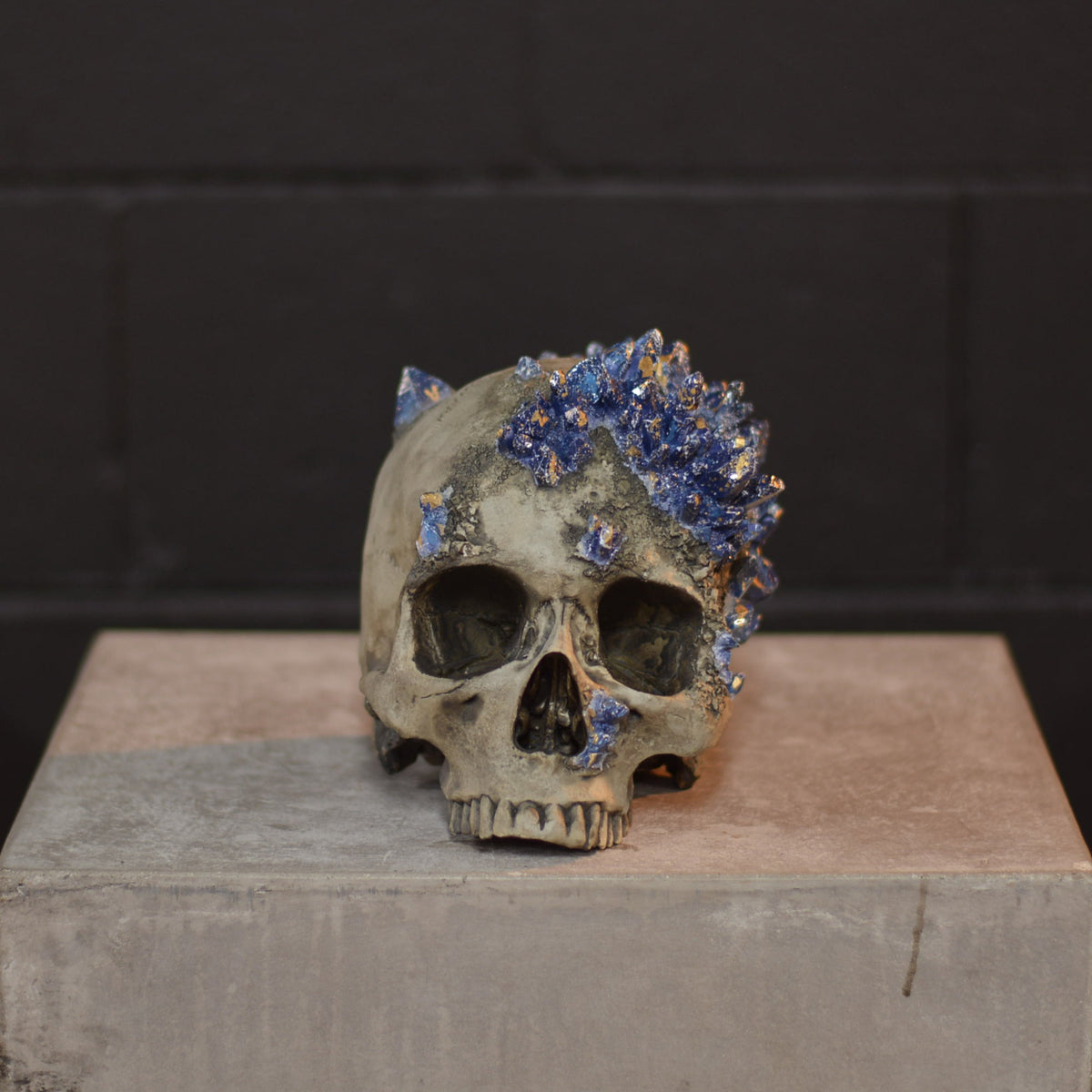 Amethyst Skull - Lapis Lazuli