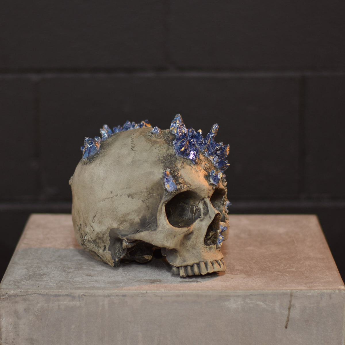 Amethyst Skull - Lapis Lazuli