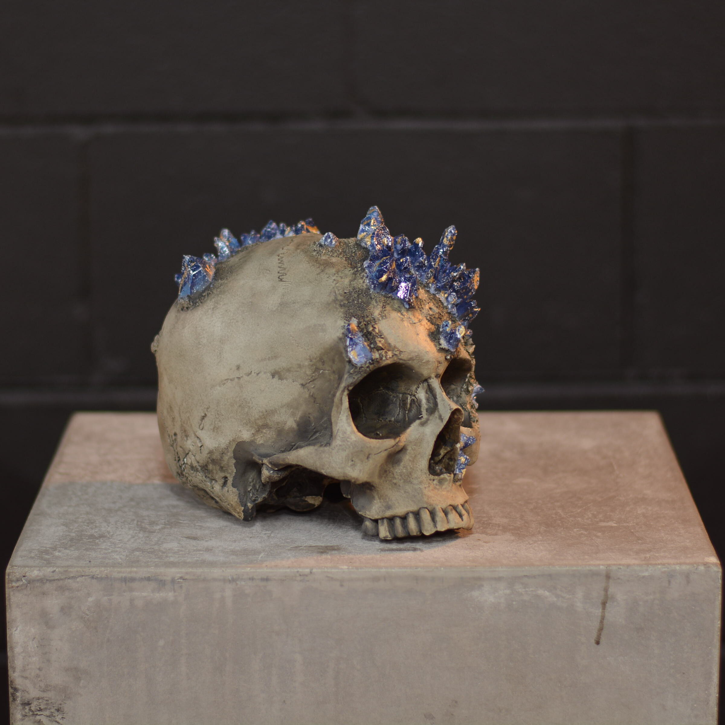 Amethyst Skull - Lapis Lazuli [EXPERIMENTAL PAINT]