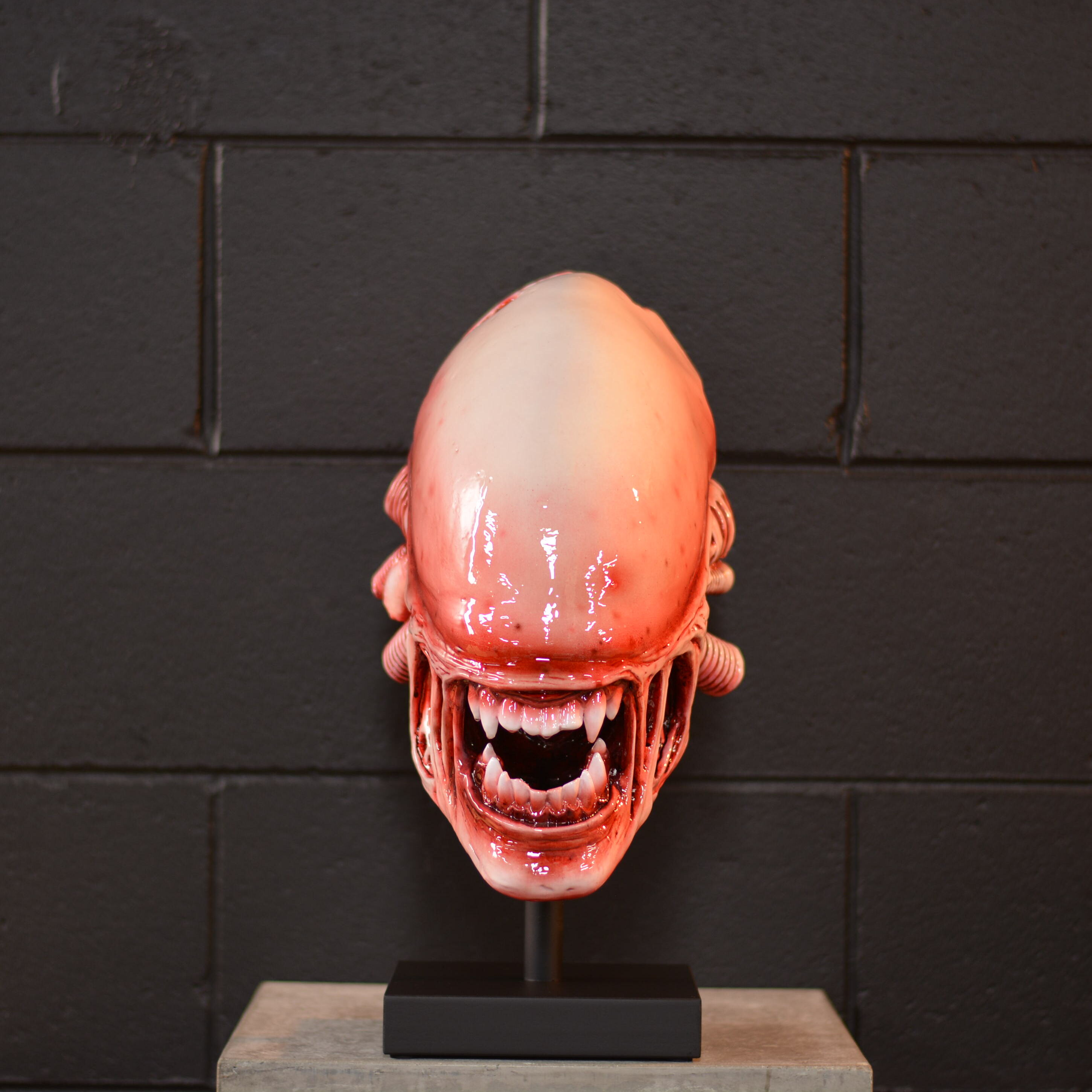 Xeno Trophy - Mars [EXPERIMENTAL PAINT]