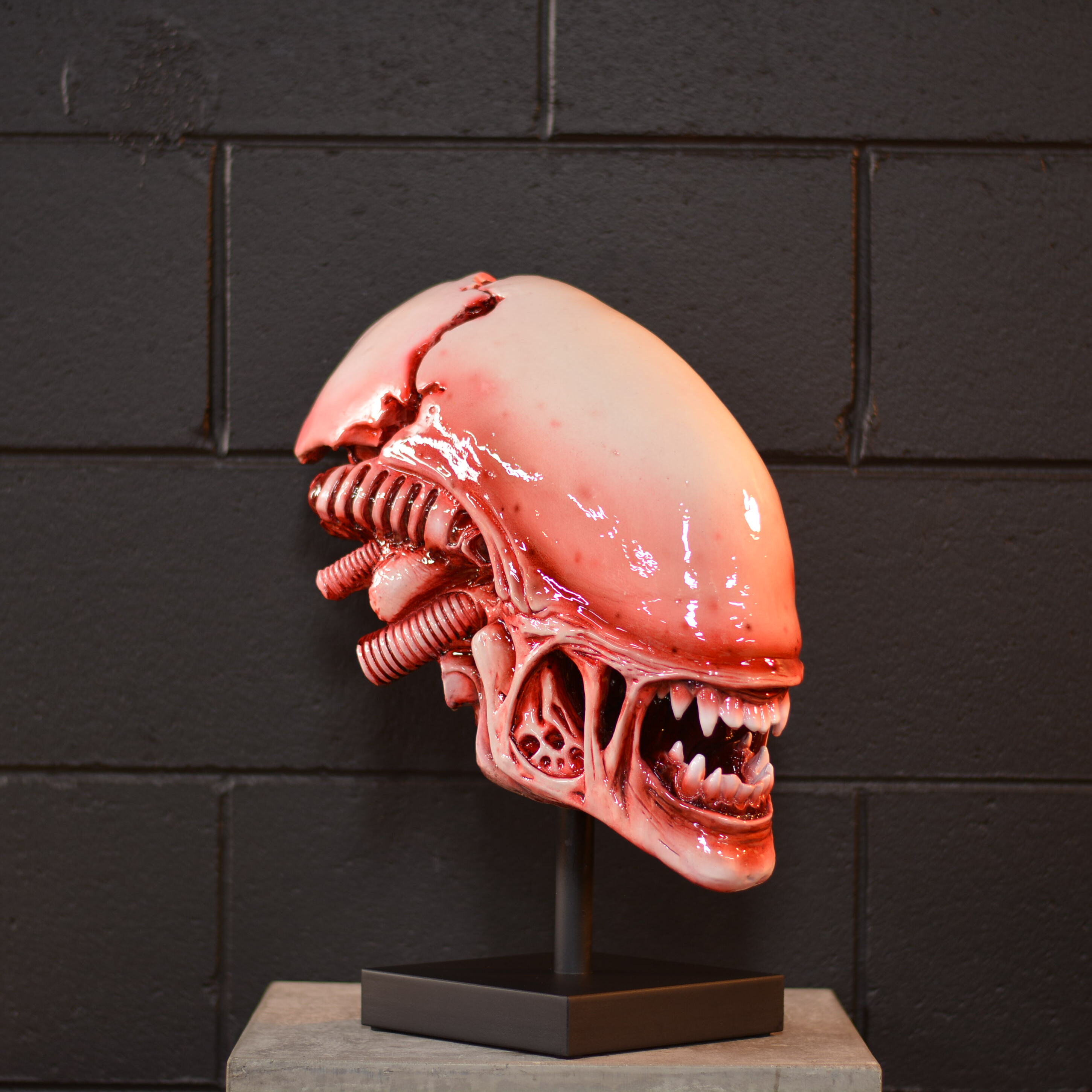 Xeno Trophy - Mars [EXPERIMENTAL PAINT]