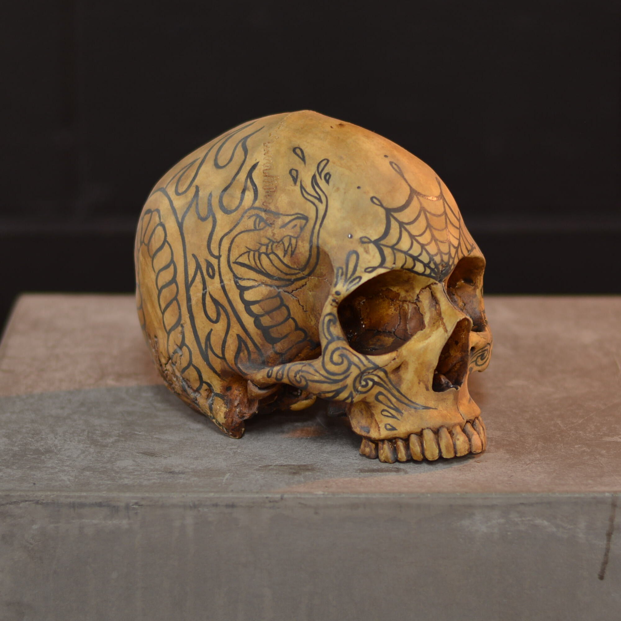 Human Skull - Tatted [EXPERIMENTAL PAINT]