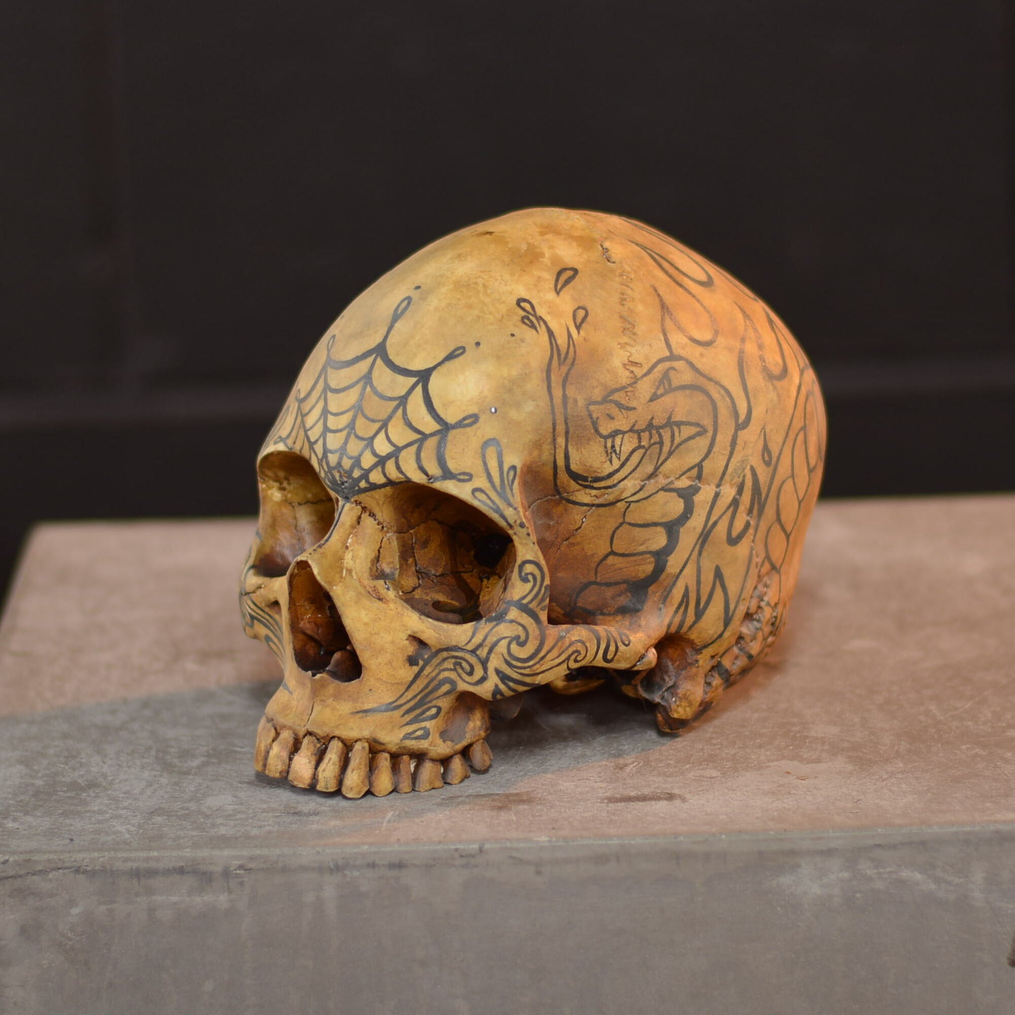 Human Skull - Tatted [EXPERIMENTAL PAINT]
