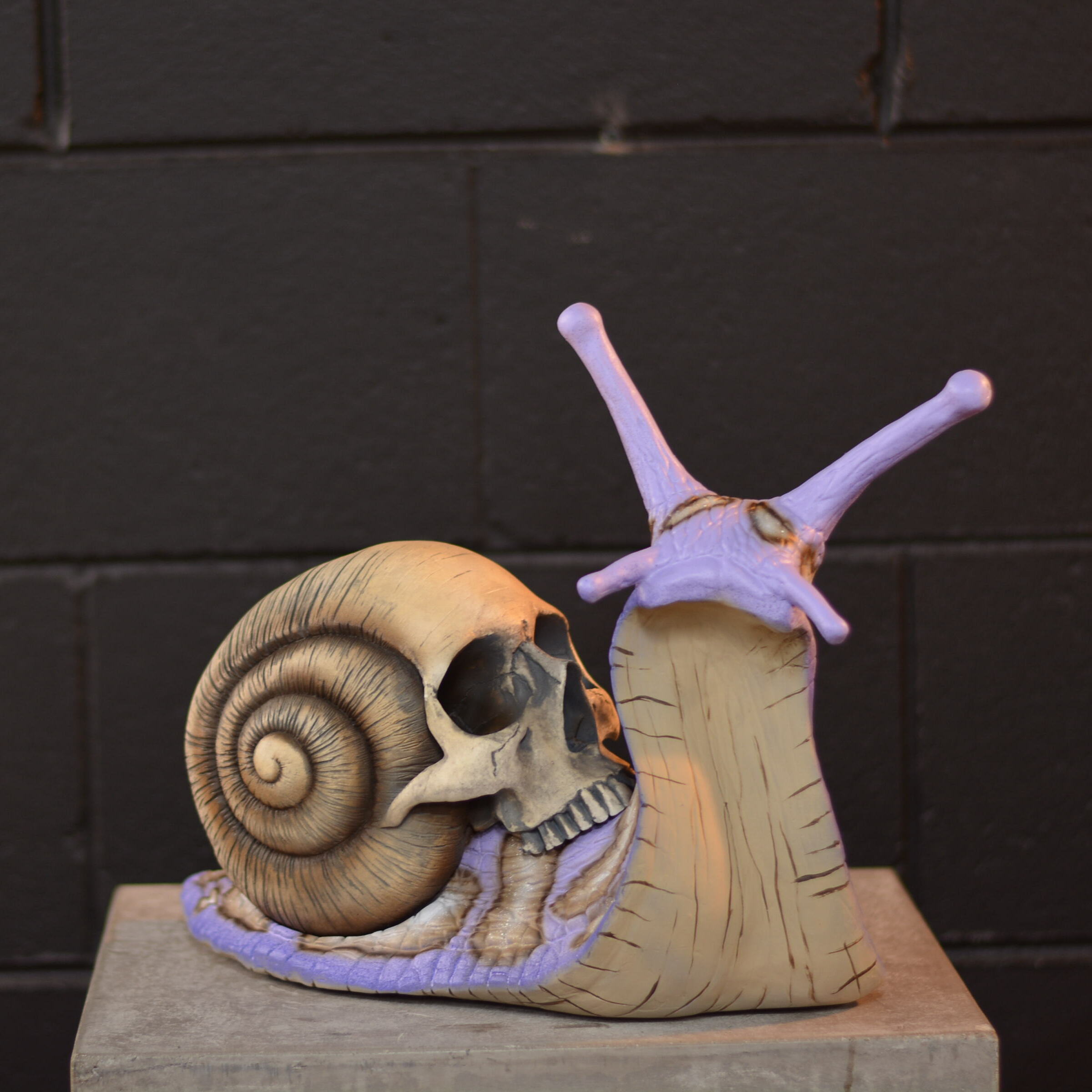 Snail Skull - Noxious [EXPERIMENTAL PAINT]