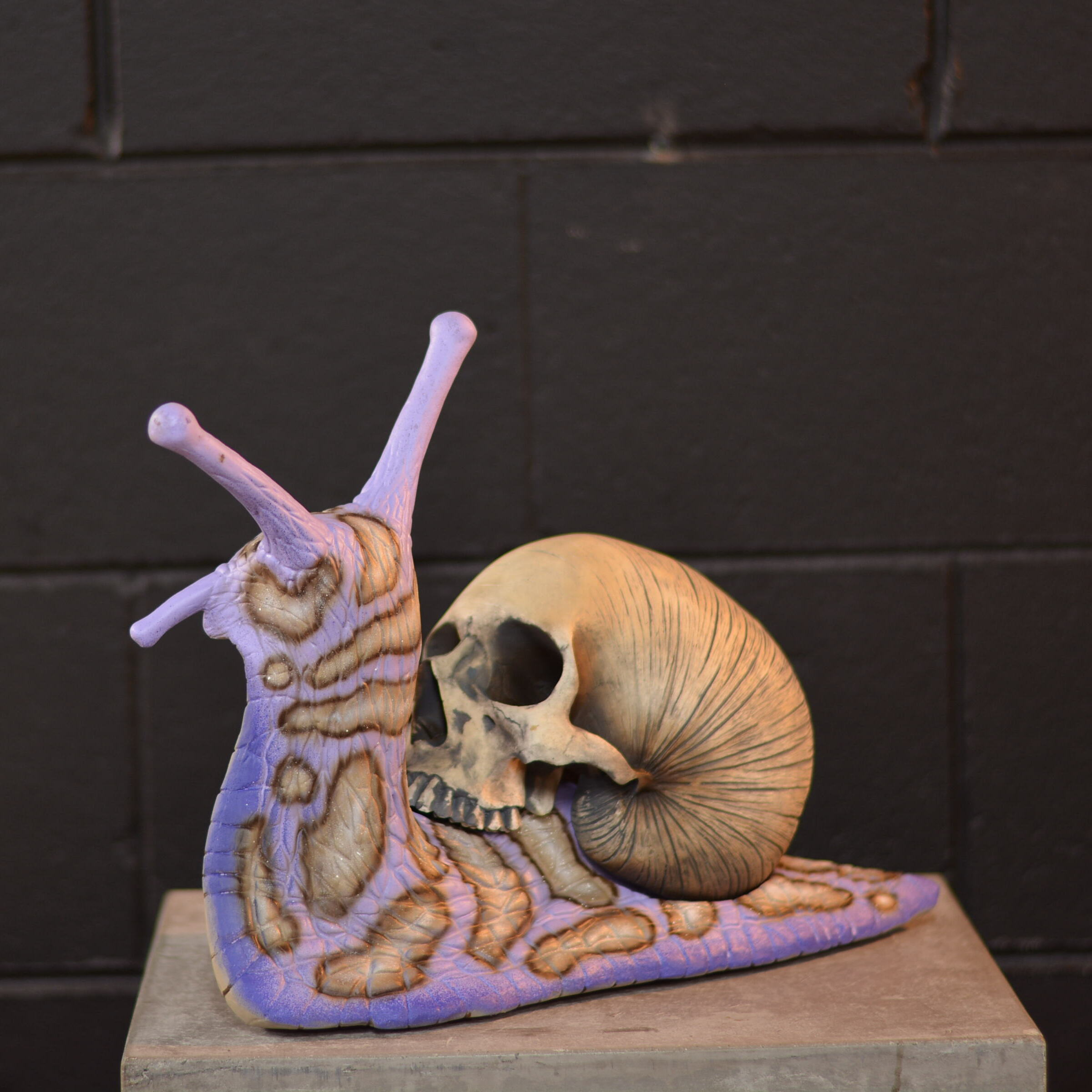 Snail Skull - Noxious [EXPERIMENTAL PAINT]