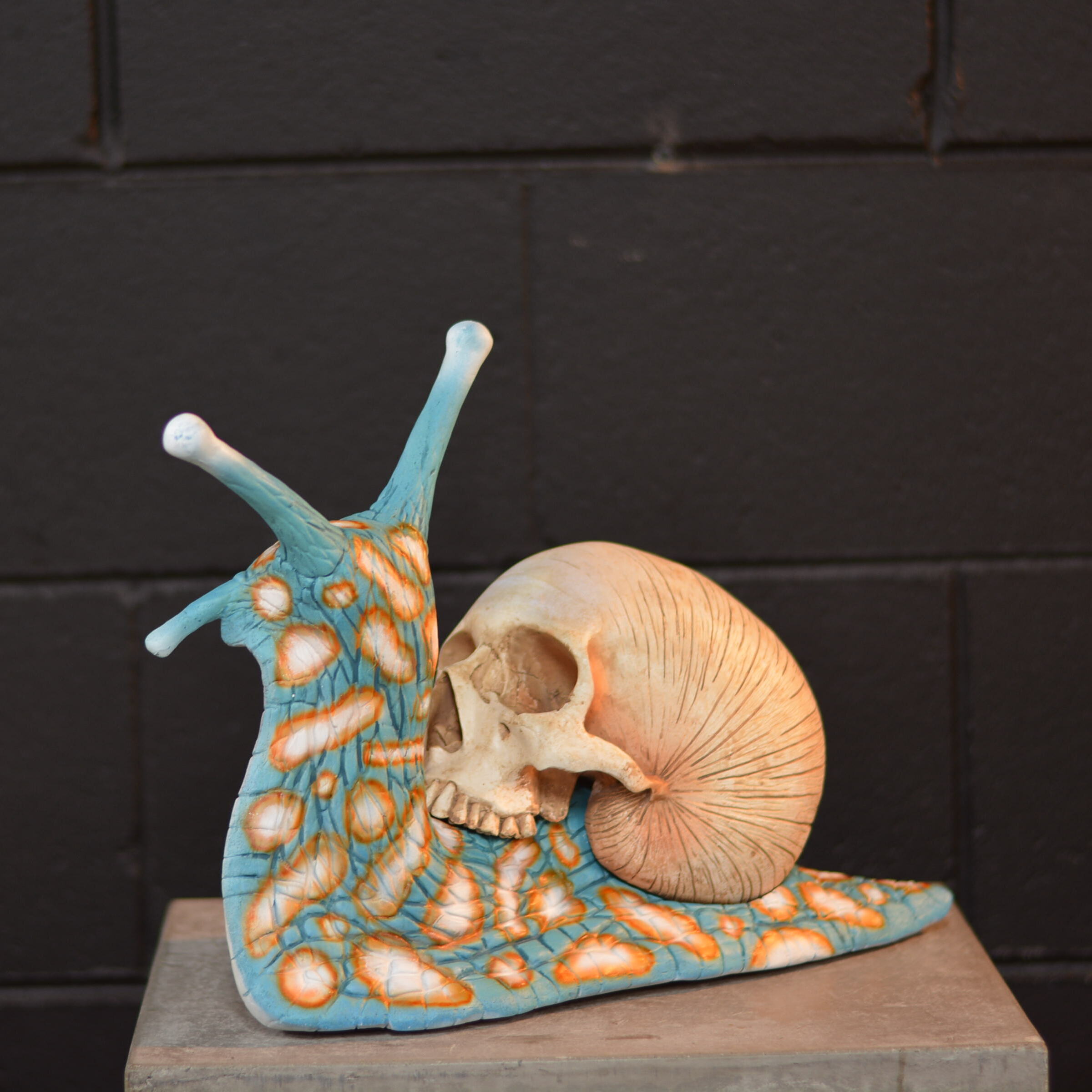 Snail Skull - Virulent [EXPERIMENTAL PAINT]