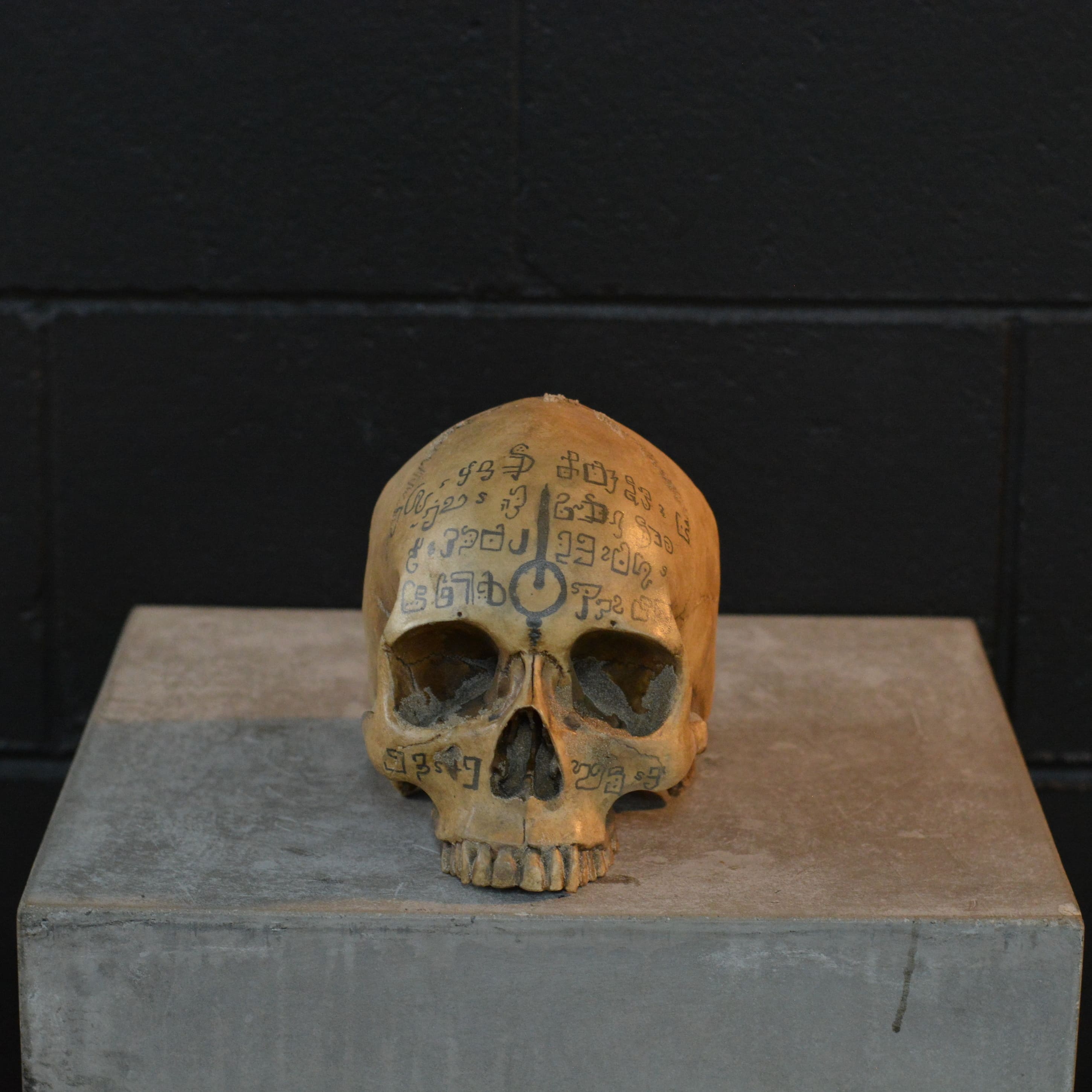 Human Skull - Spice Dreams [EXPERIMENTAL PAINT]