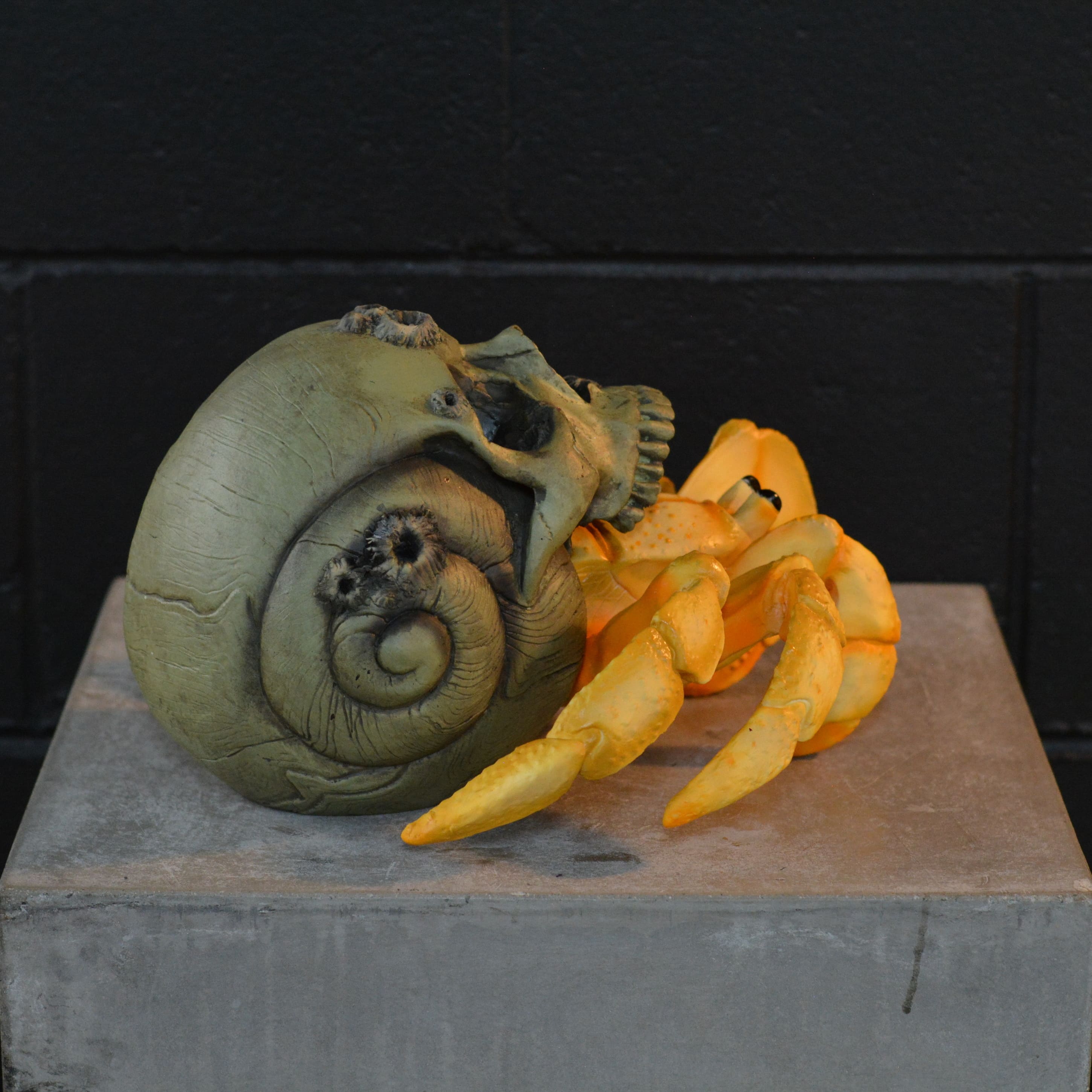 Hermit Crab Skull - Coastal Hermit [EXPERIMENTAL PAINT]