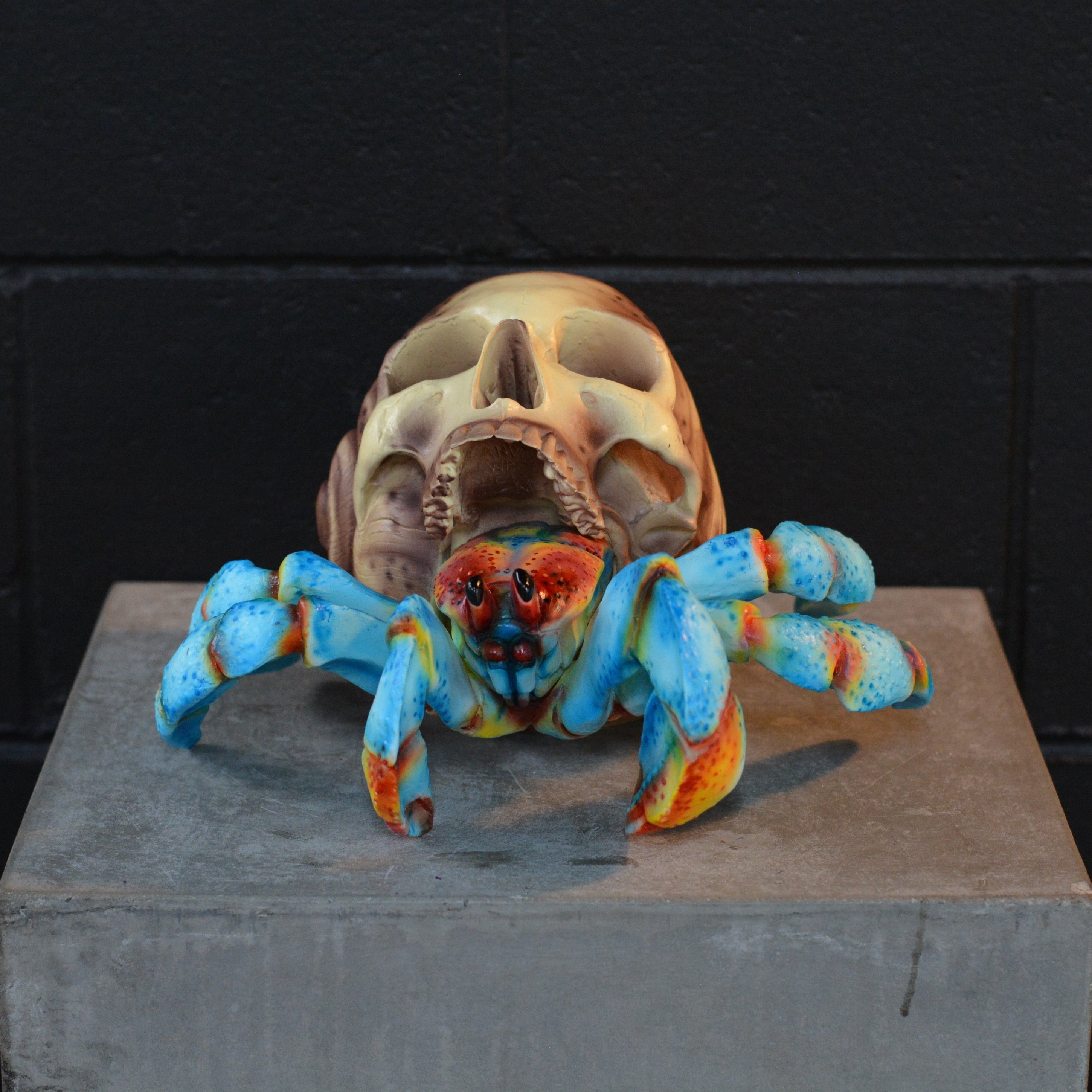 Hermit Crab Skull - Skull of the Tide [EXPERIMENTAL PAINT]