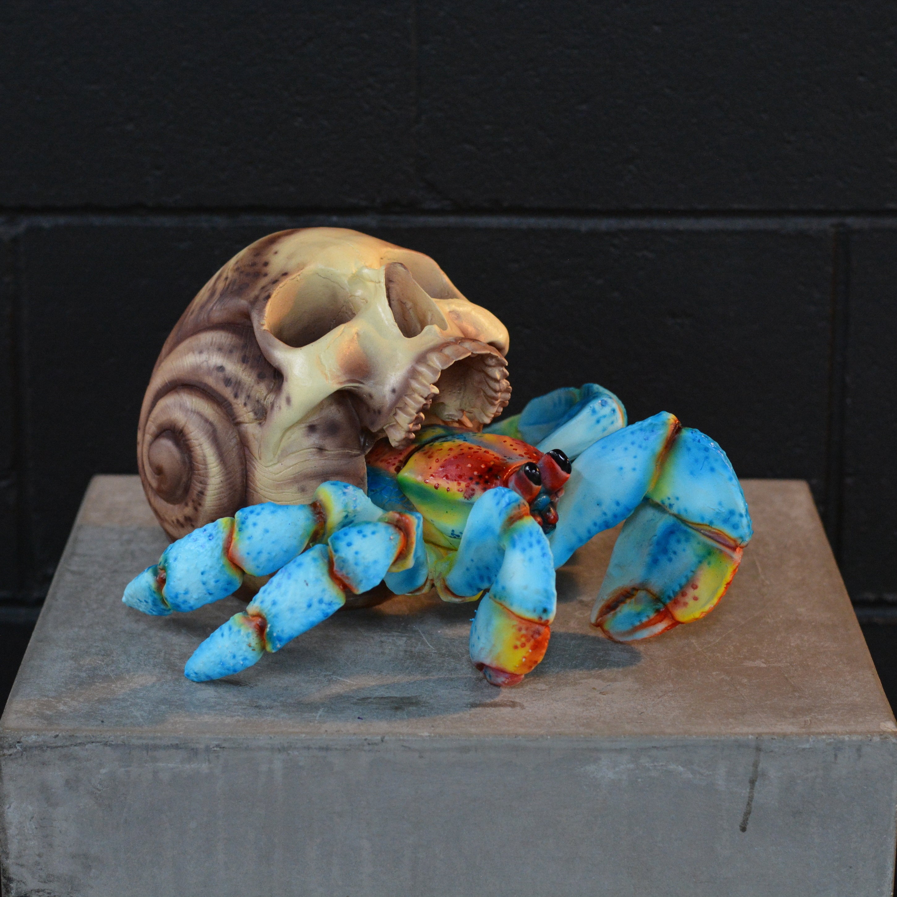 Hermit Crab Skull - Skull of the Tide [EXPERIMENTAL PAINT]