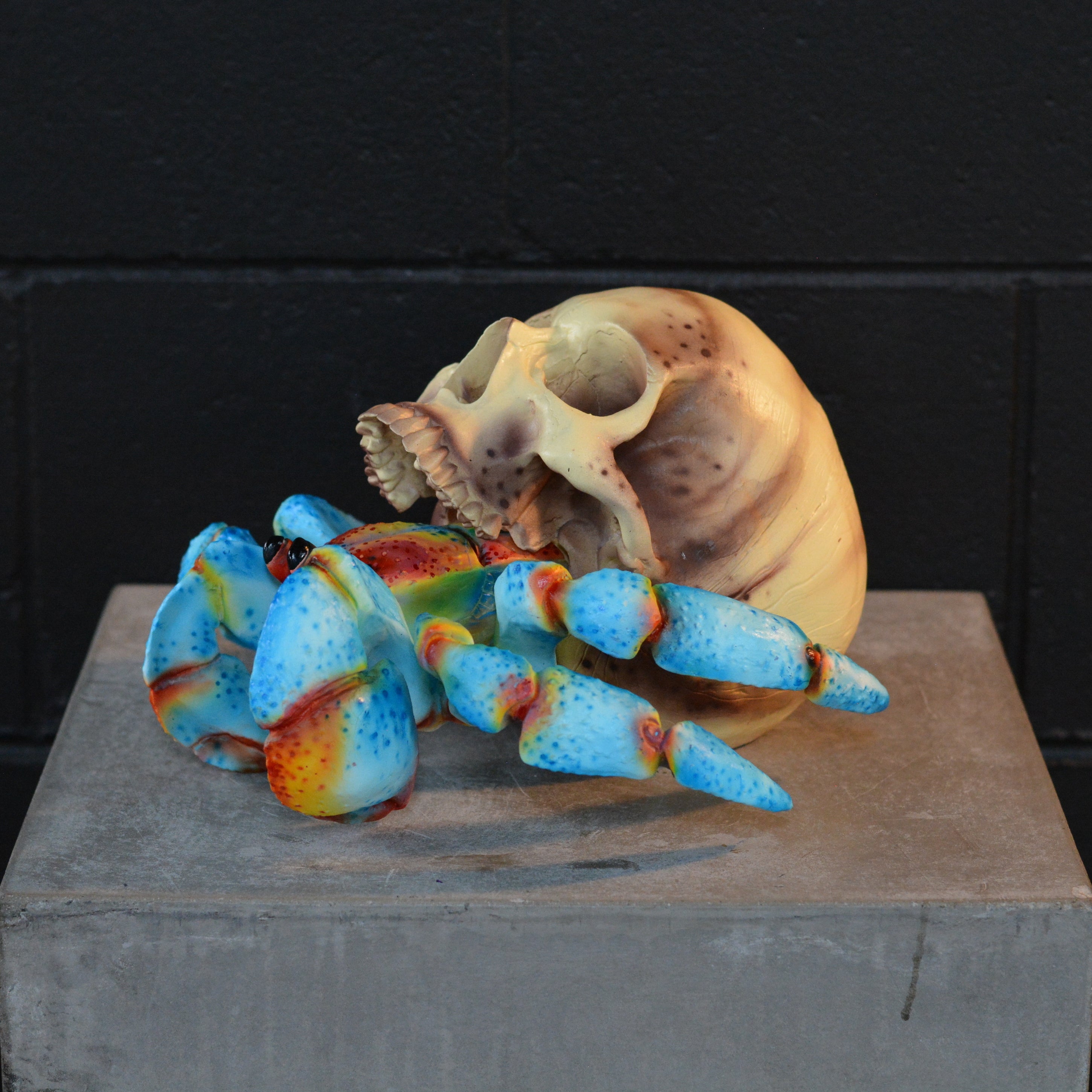 Hermit Crab Skull - Skull of the Tide [EXPERIMENTAL PAINT]