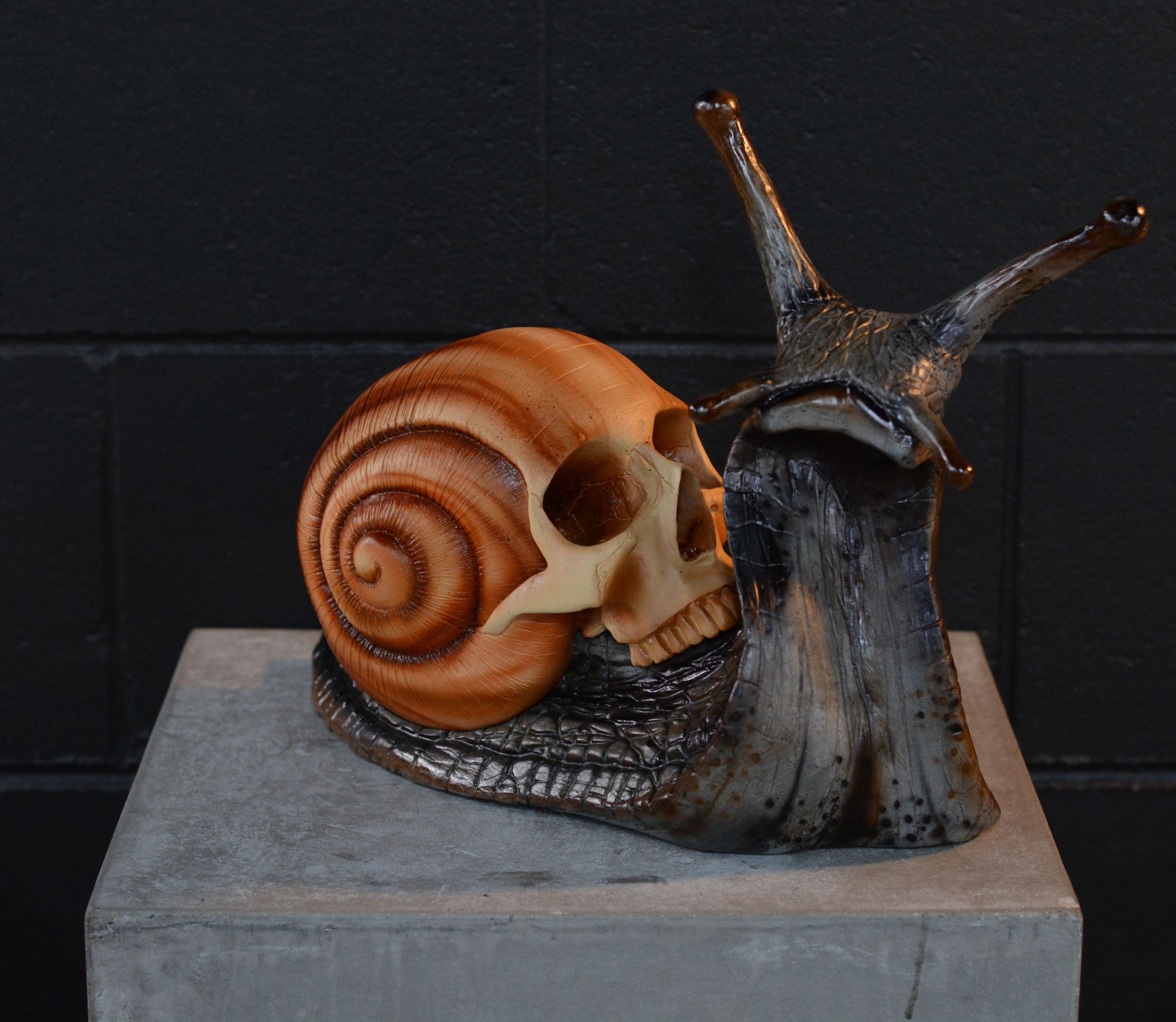 Snail Skull - Swirl [EXPERIMENTAL PAINT]