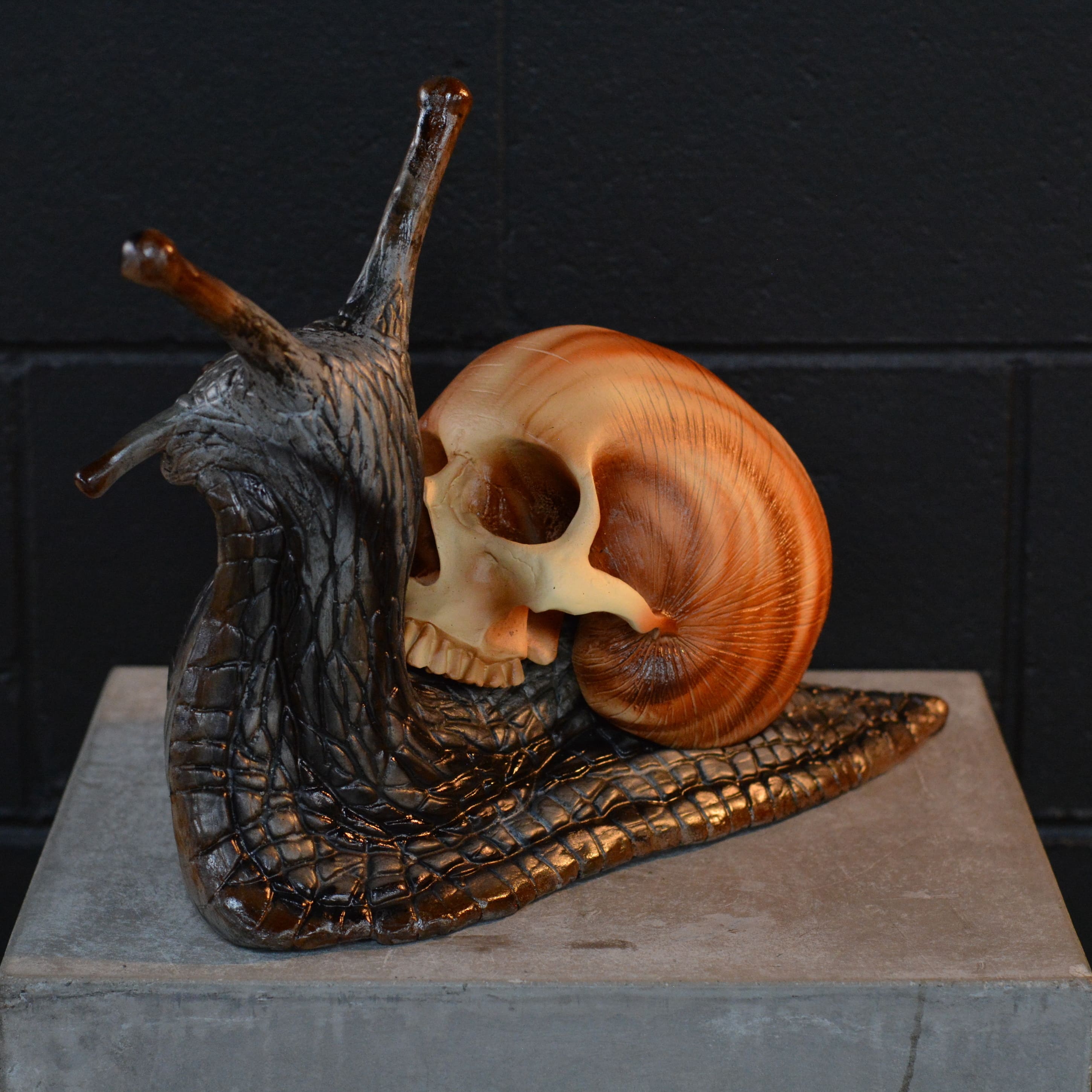 Snail Skull - Swirl [EXPERIMENTAL PAINT]