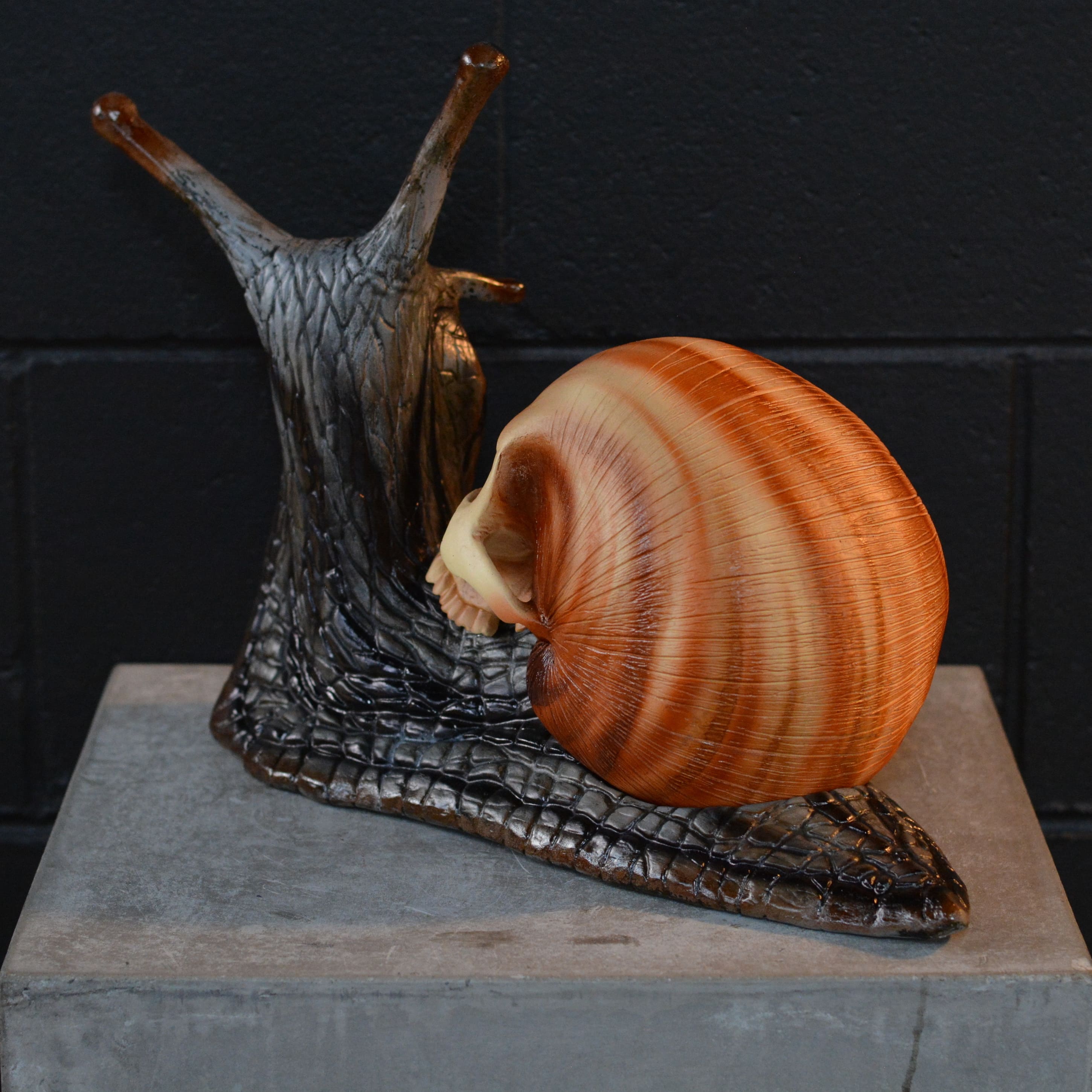 Snail Skull - Swirl [EXPERIMENTAL PAINT]