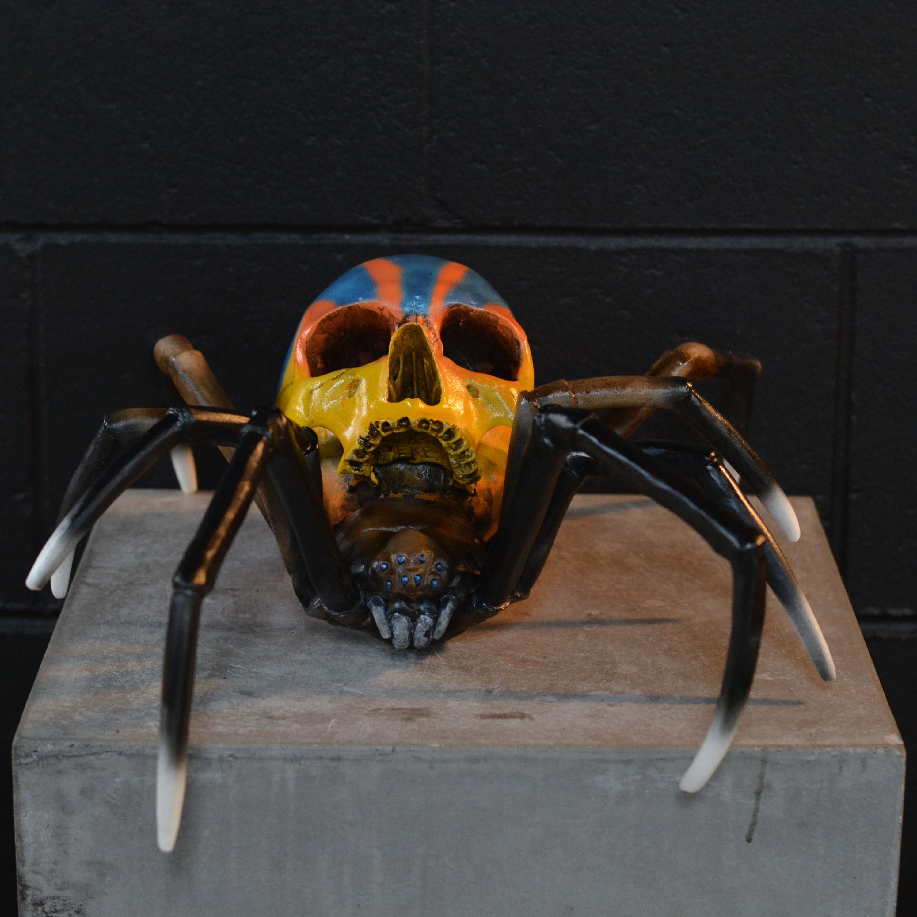 Spider Skull - Peacock Spider [EXPERIMENTAL PAINT]
