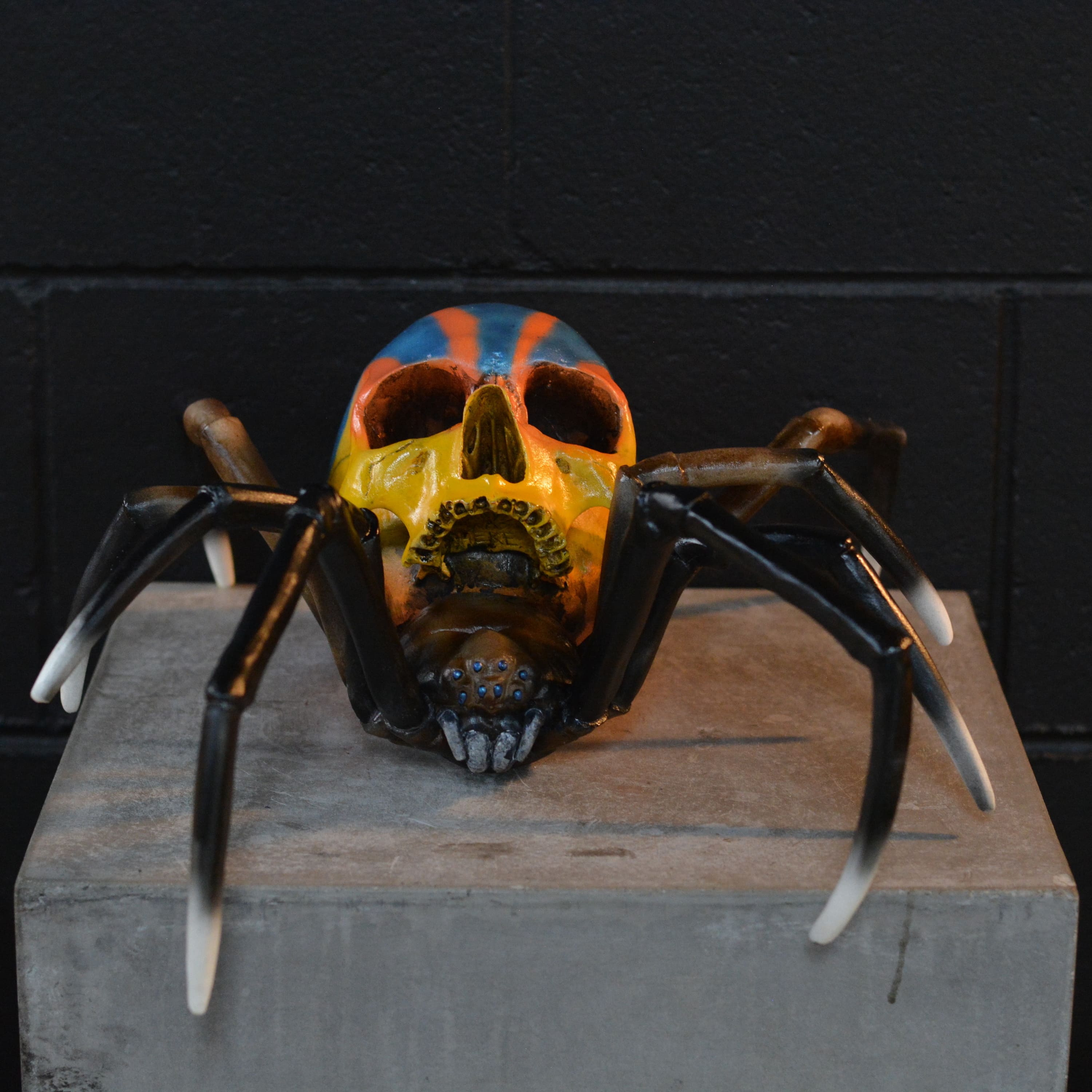 Spider Skull - Peacock Spider [EXPERIMENTAL PAINT]
