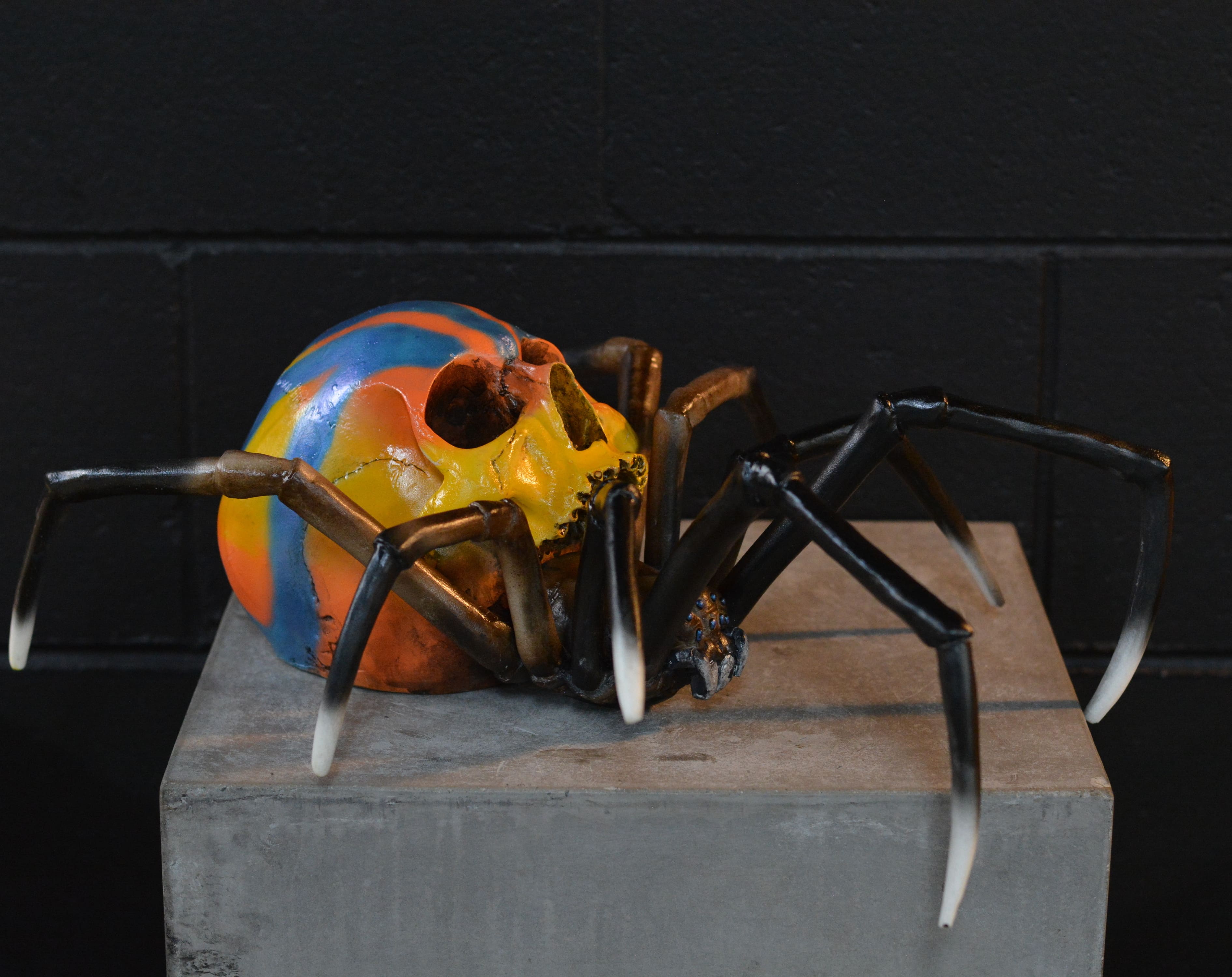 Spider Skull - Peacock Spider [EXPERIMENTAL PAINT]