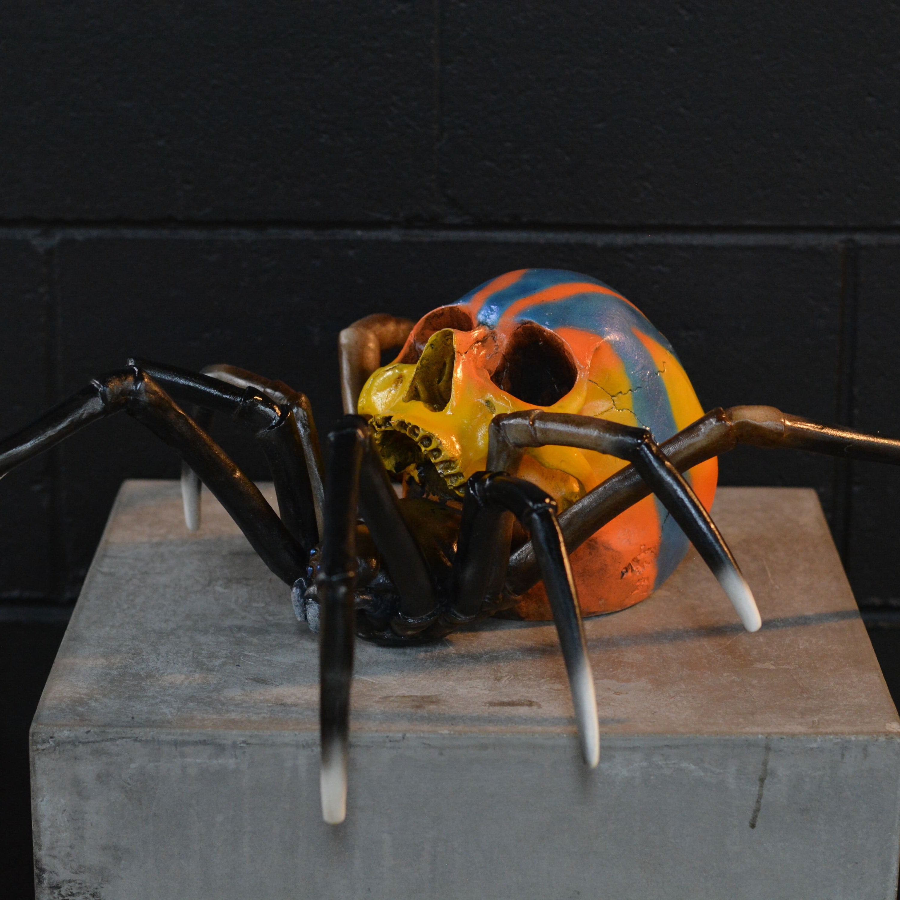 Spider Skull - Peacock Spider [EXPERIMENTAL PAINT]