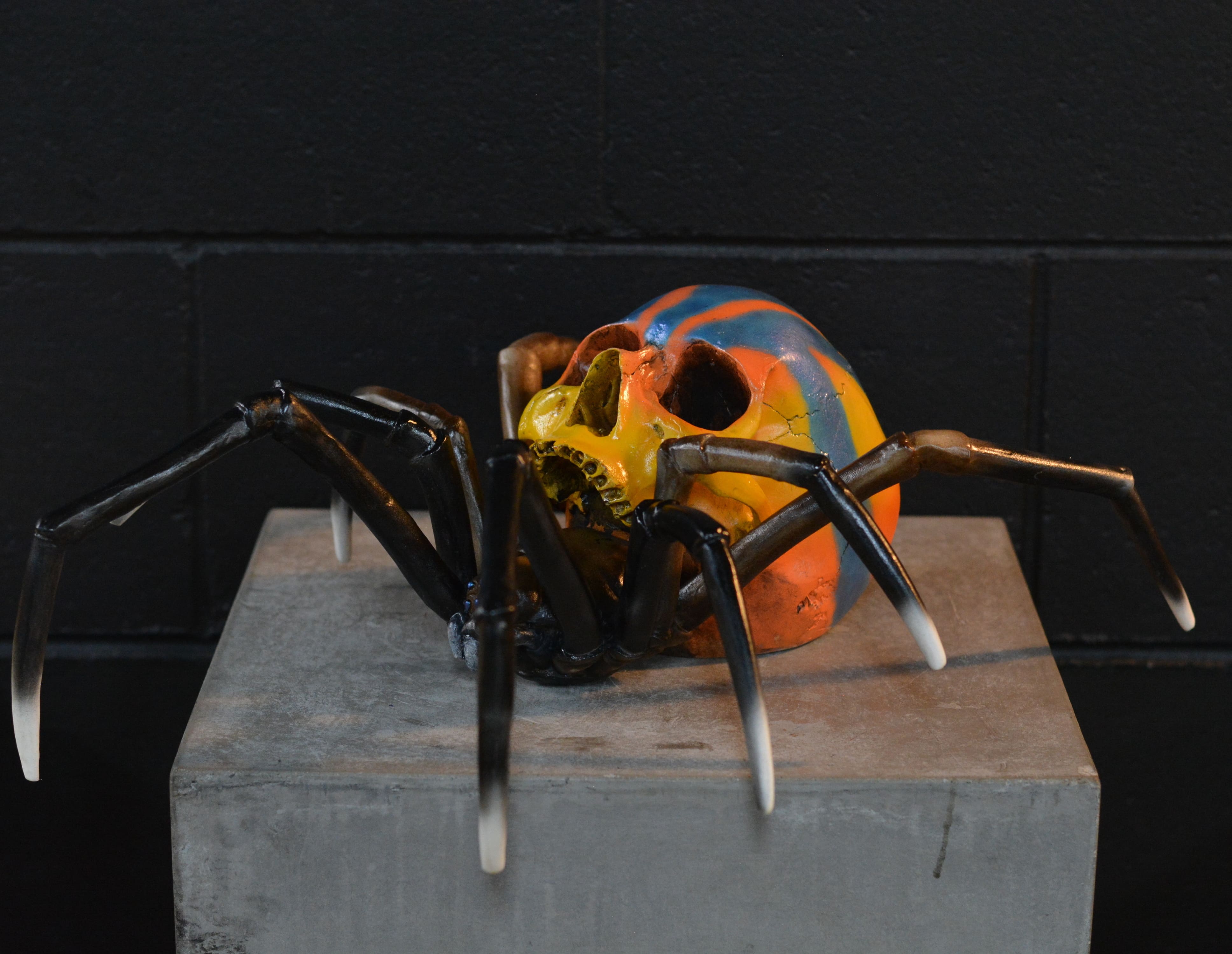 Spider Skull - Peacock Spider [EXPERIMENTAL PAINT]
