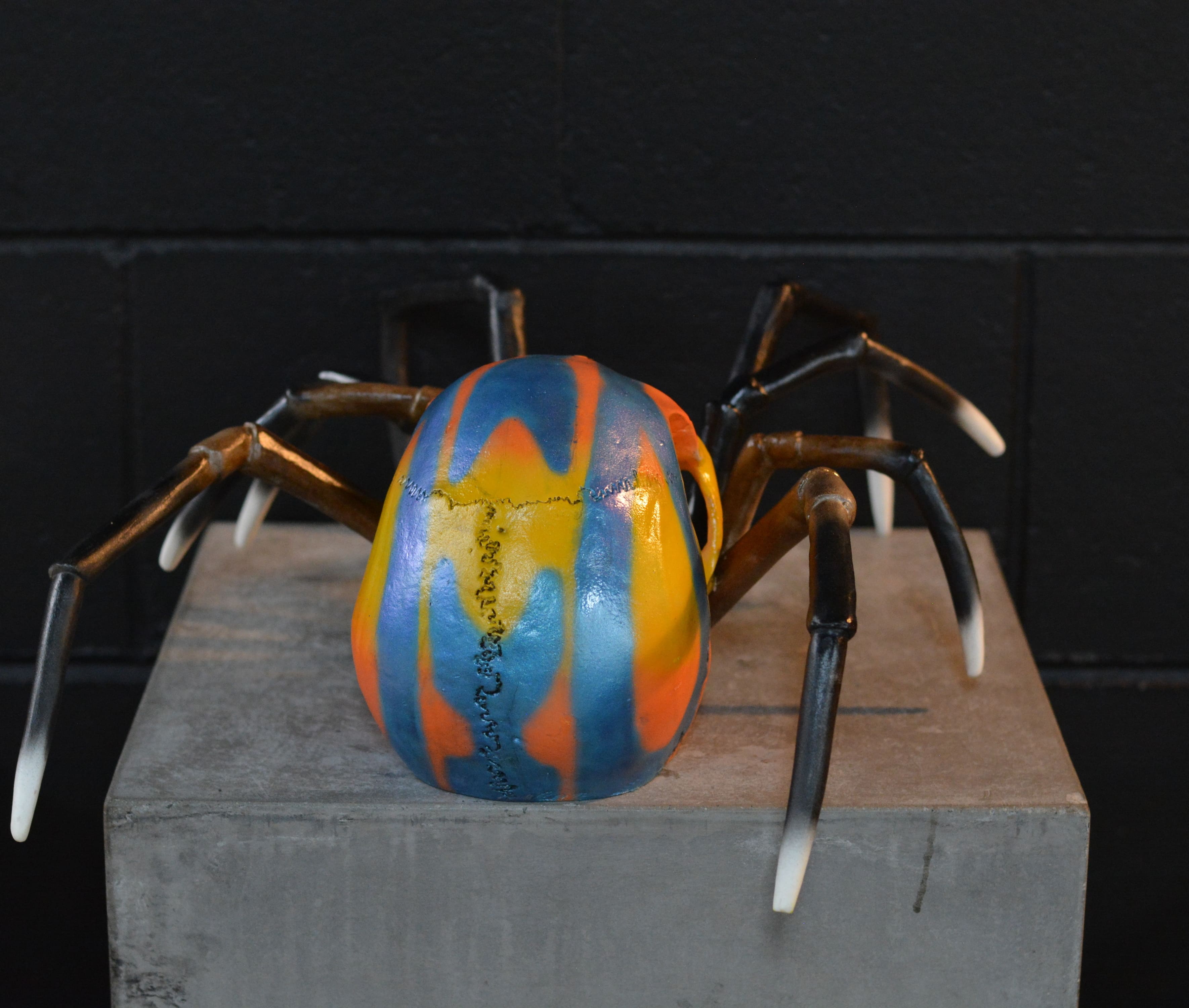 Spider Skull - Peacock Spider [EXPERIMENTAL PAINT]