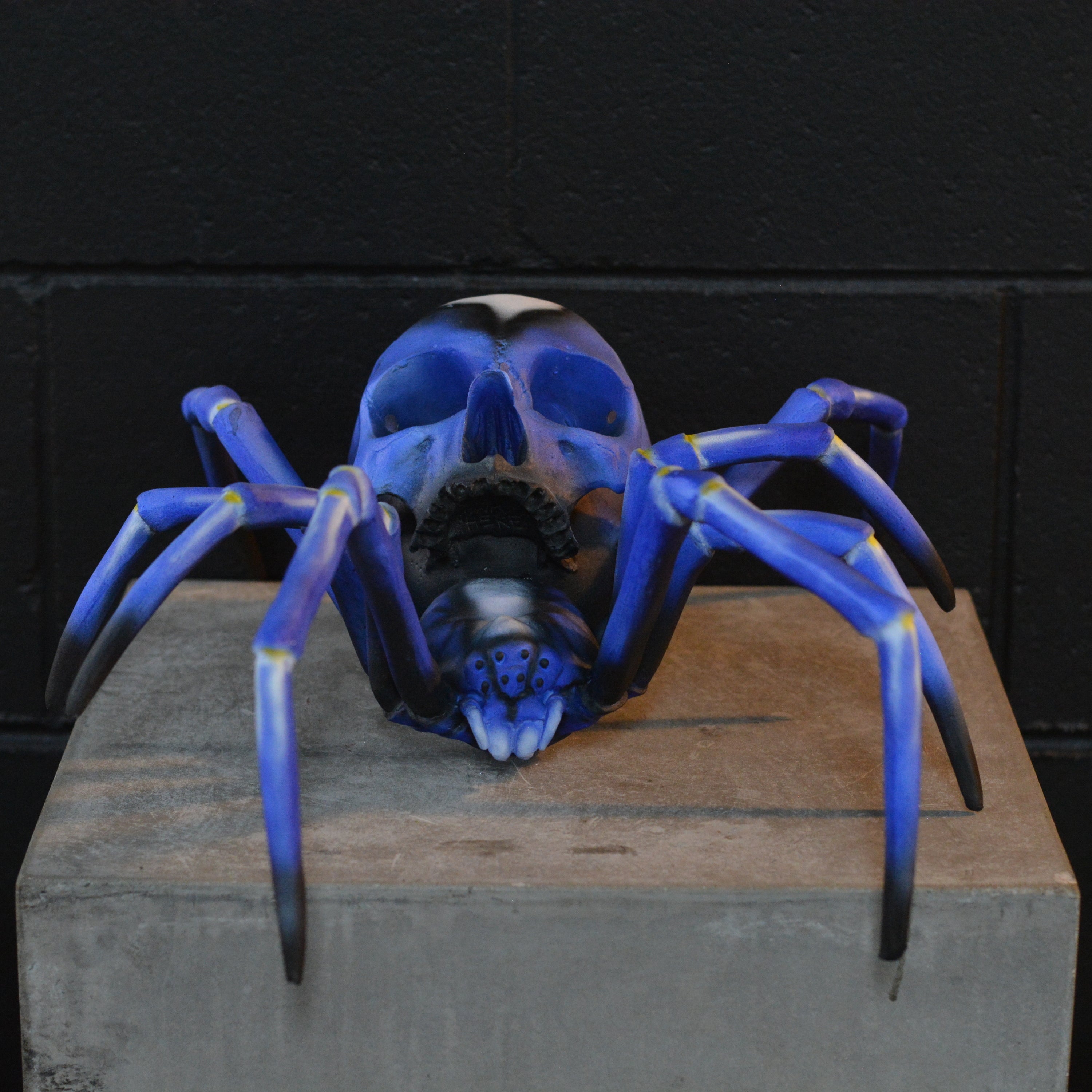 Spider Skull - Peacock Parachute Spider [EXPERIMENTAL PAINT]