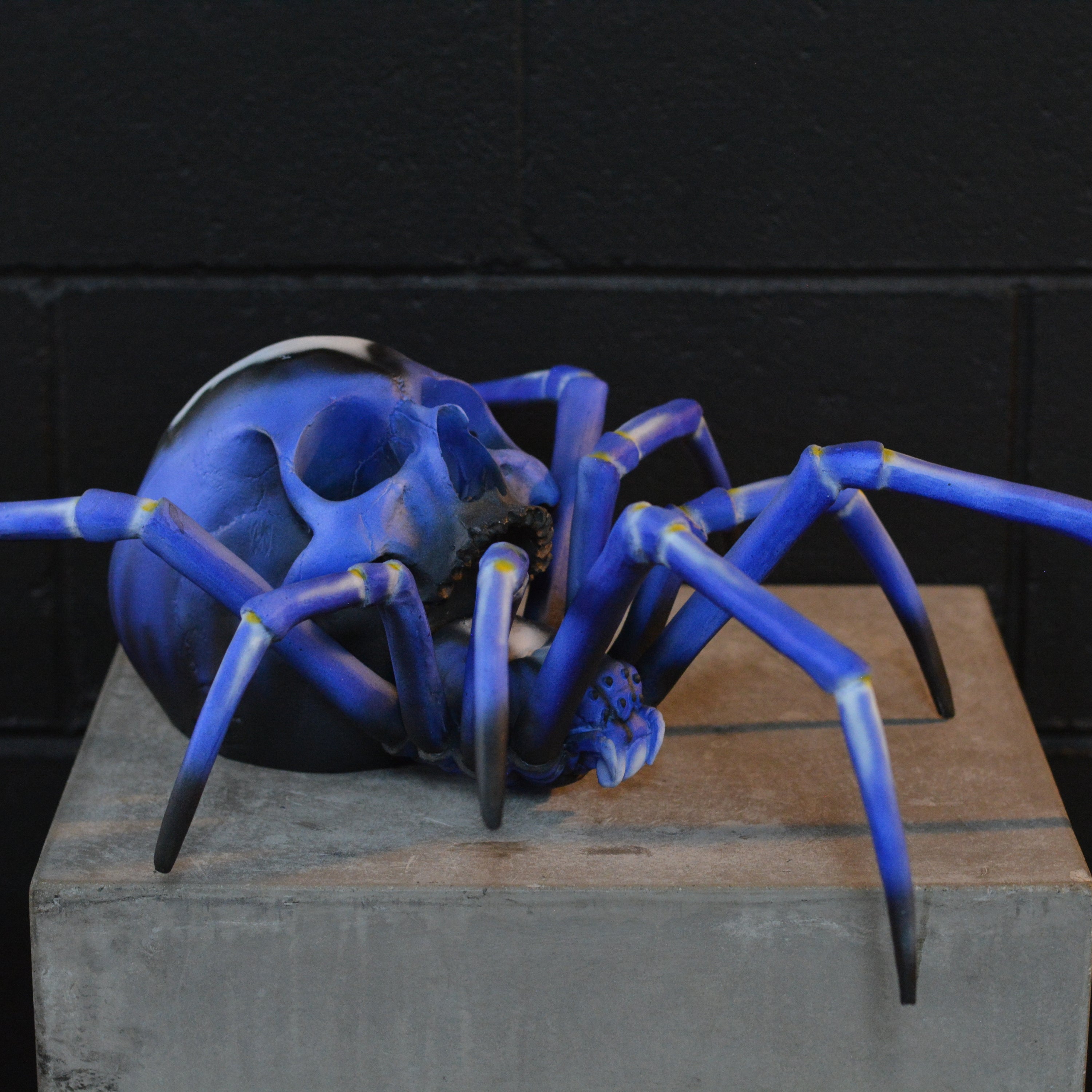 Spider Skull - Peacock Parachute Spider [EXPERIMENTAL PAINT]