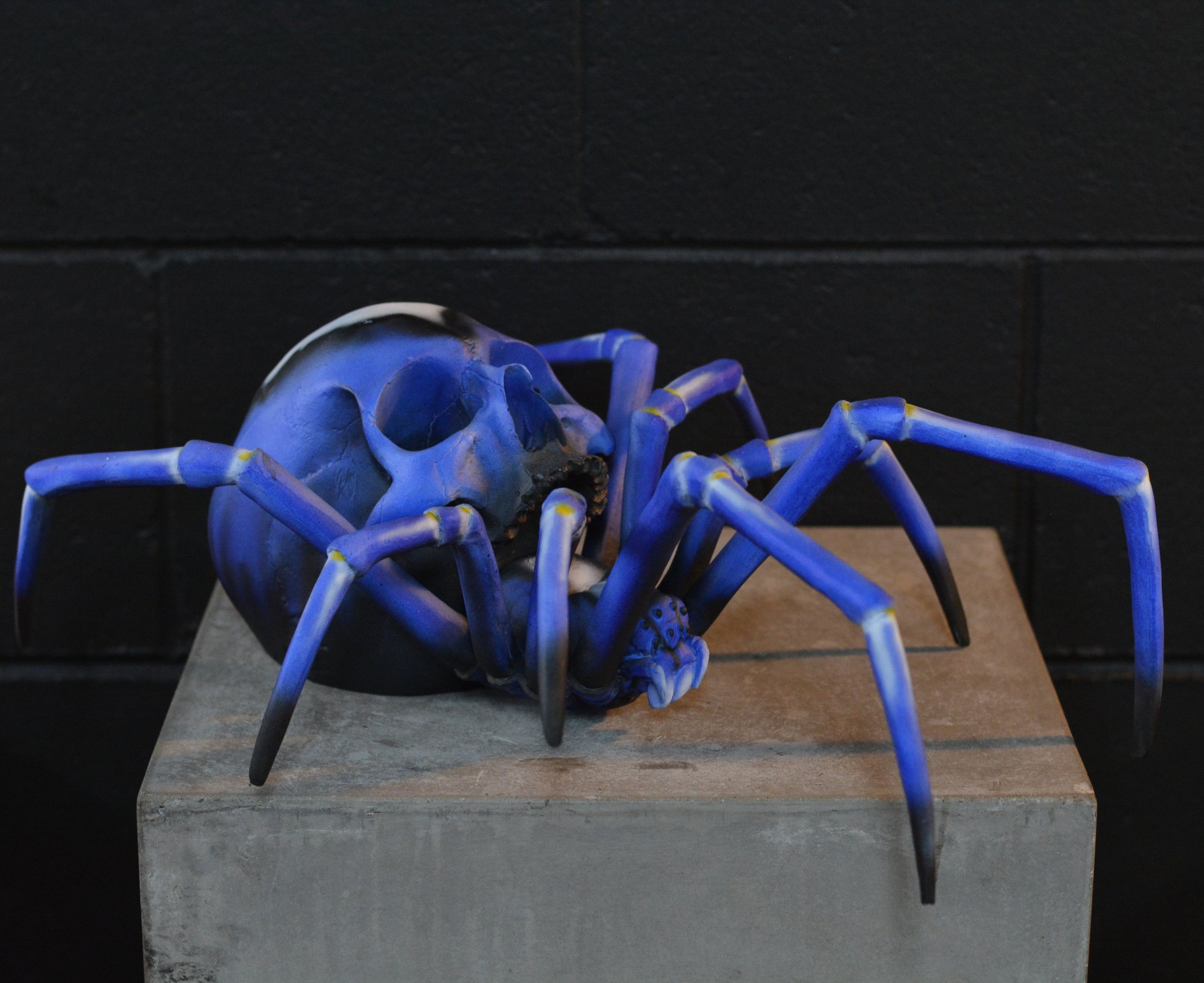 Spider Skull - Peacock Parachute Spider [EXPERIMENTAL PAINT]