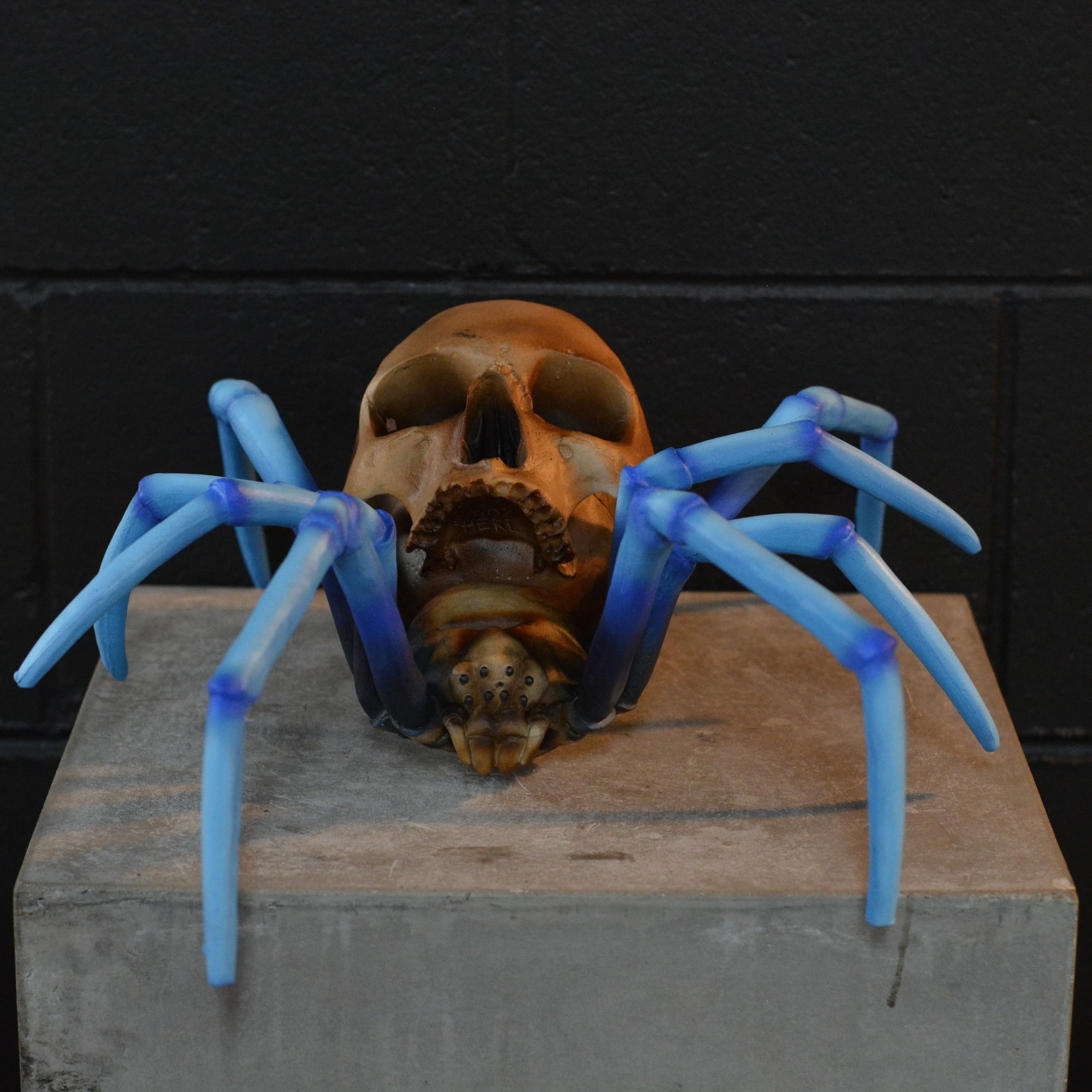 Spider Skull - Blue-Legged Tarantula [EXPERIMENTAL PAINT]