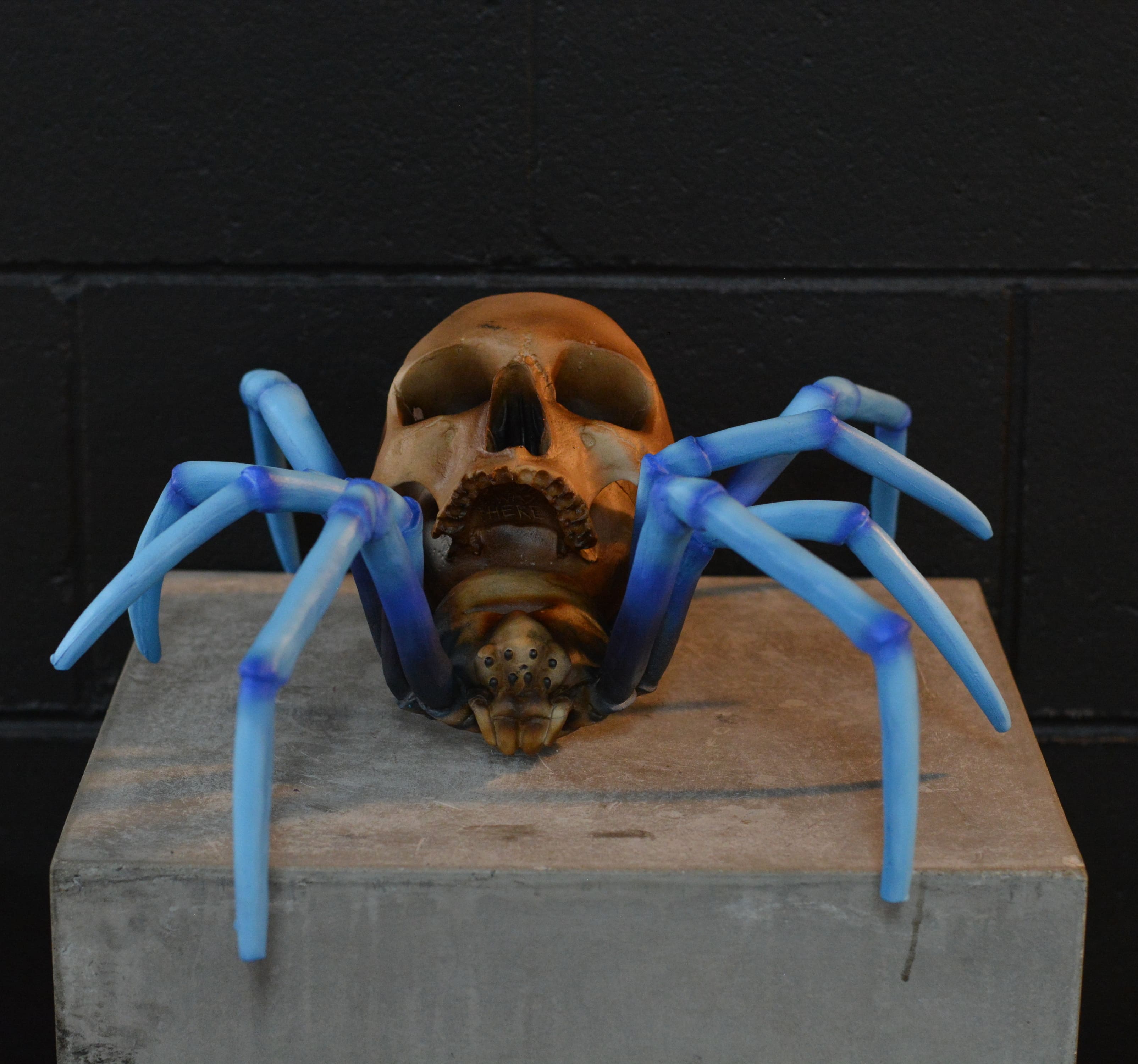 Spider Skull - Blue-Legged Tarantula [EXPERIMENTAL PAINT]
