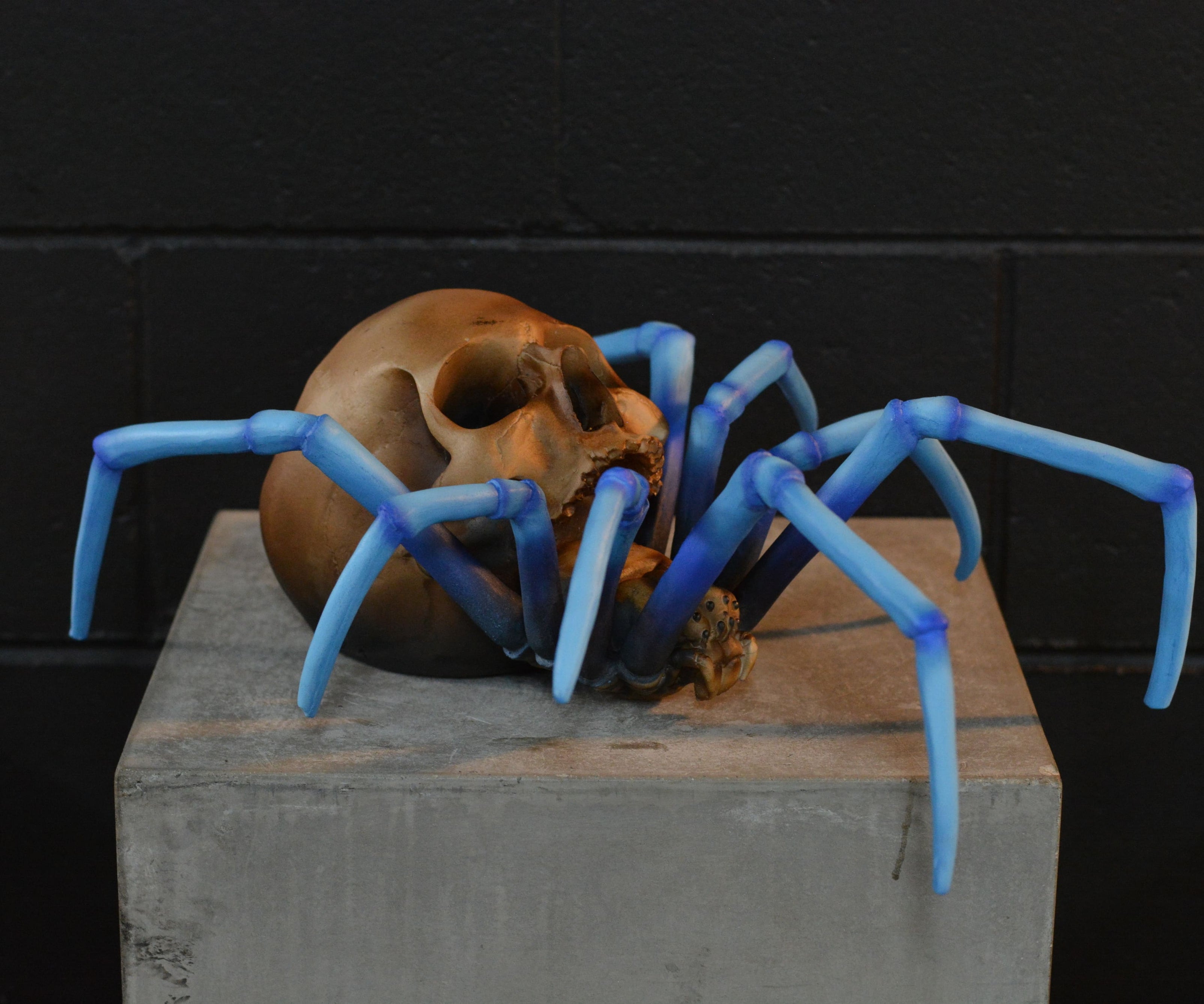Spider Skull - Blue-Legged Tarantula [EXPERIMENTAL PAINT]