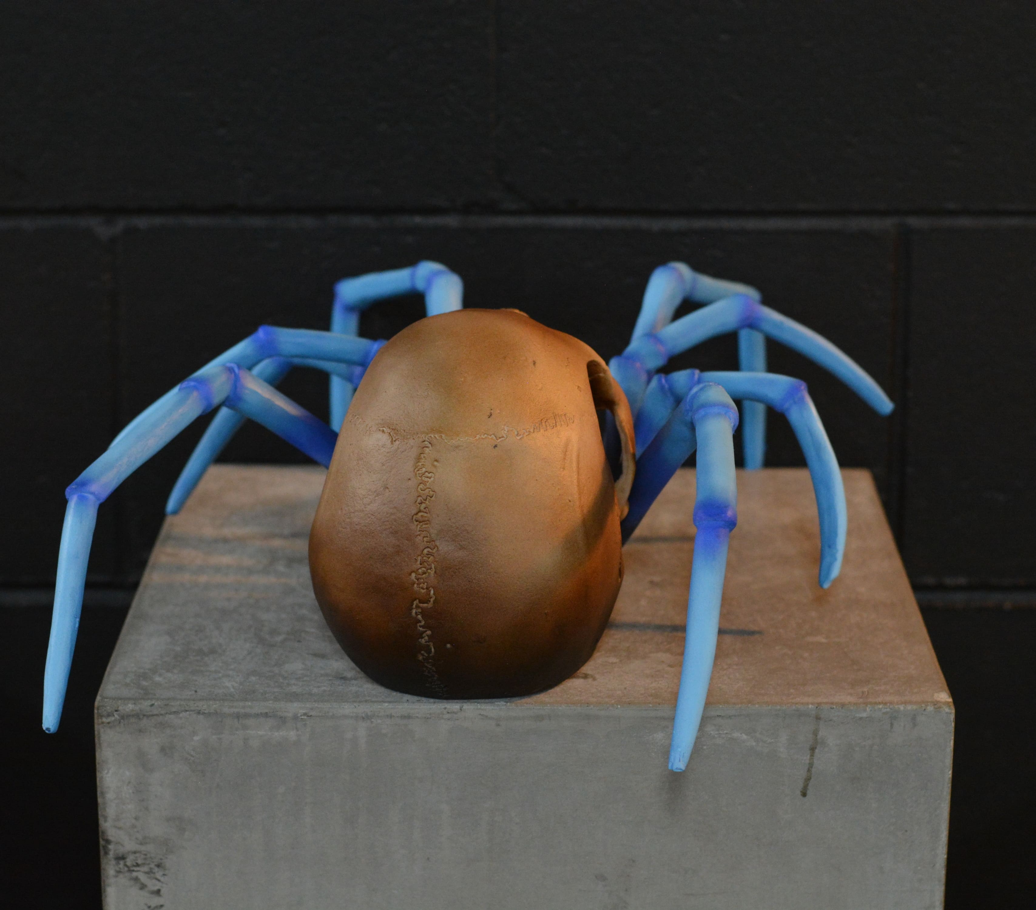 Spider Skull - Blue-Legged Tarantula [EXPERIMENTAL PAINT]