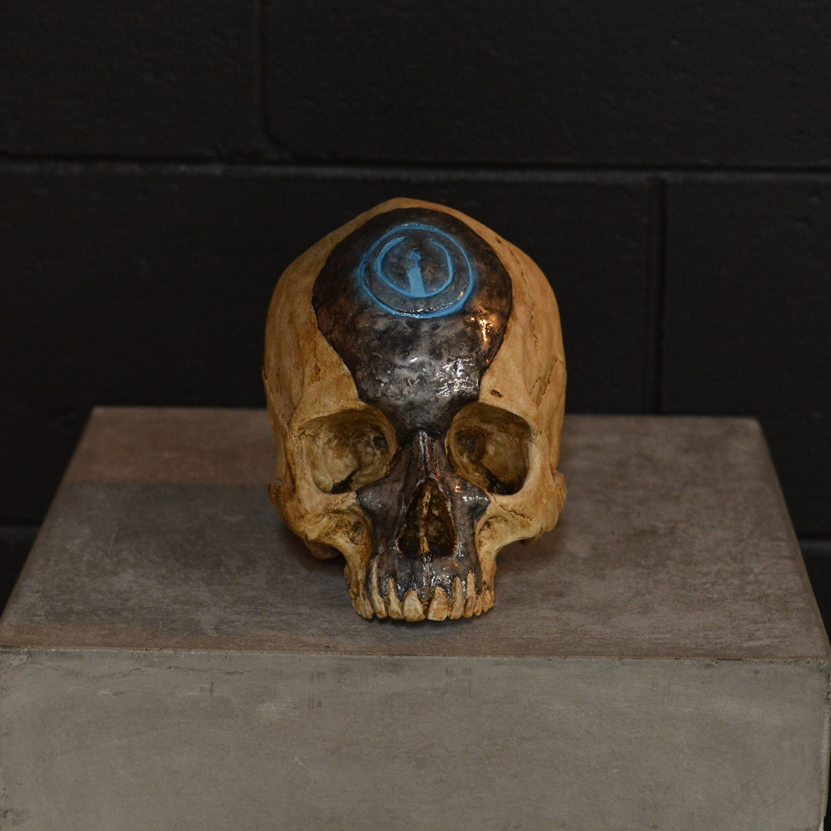 Human Skull - Birthday Party [EXPERIMENTAL PAINT]