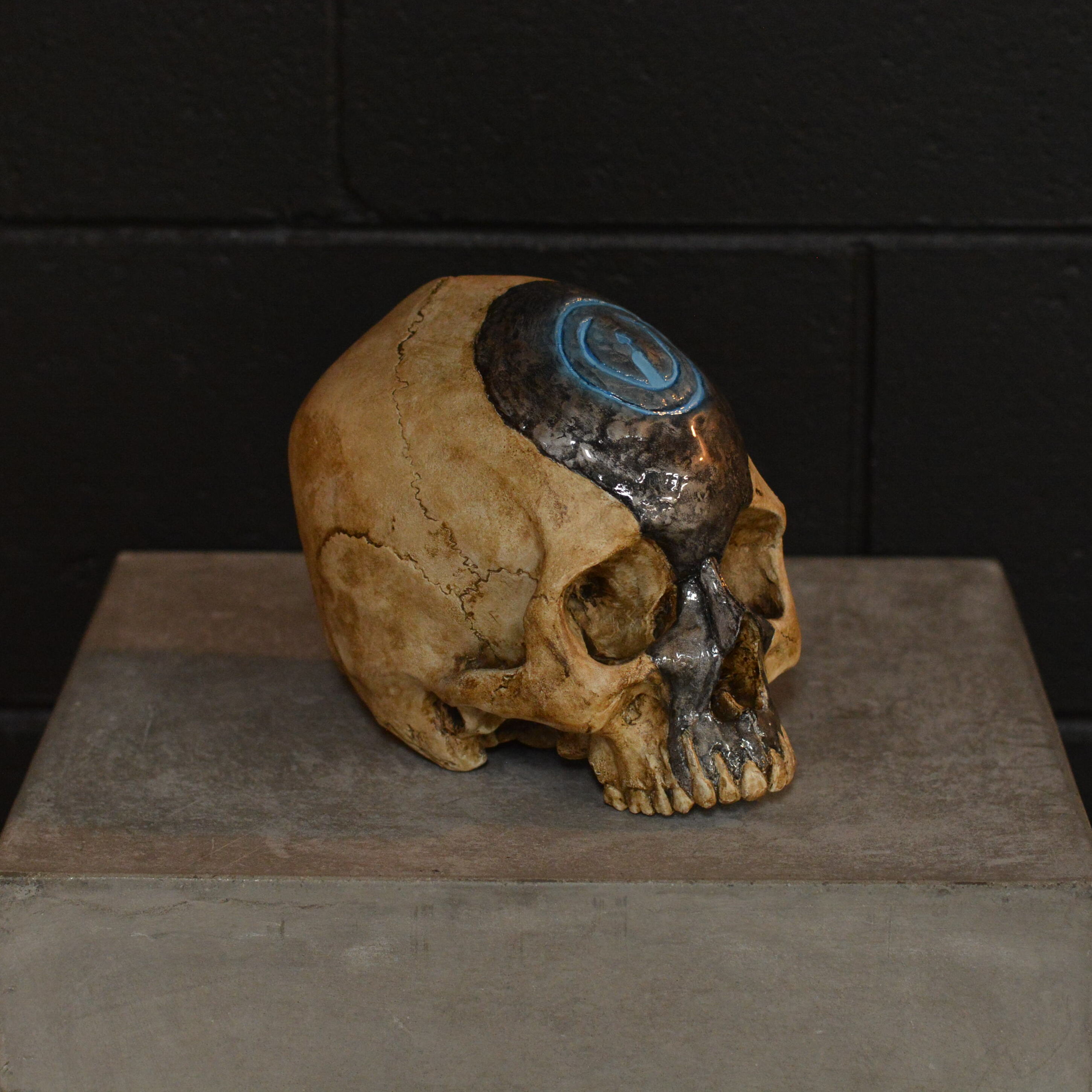 Human Skull - Birthday Party [EXPERIMENTAL PAINT]