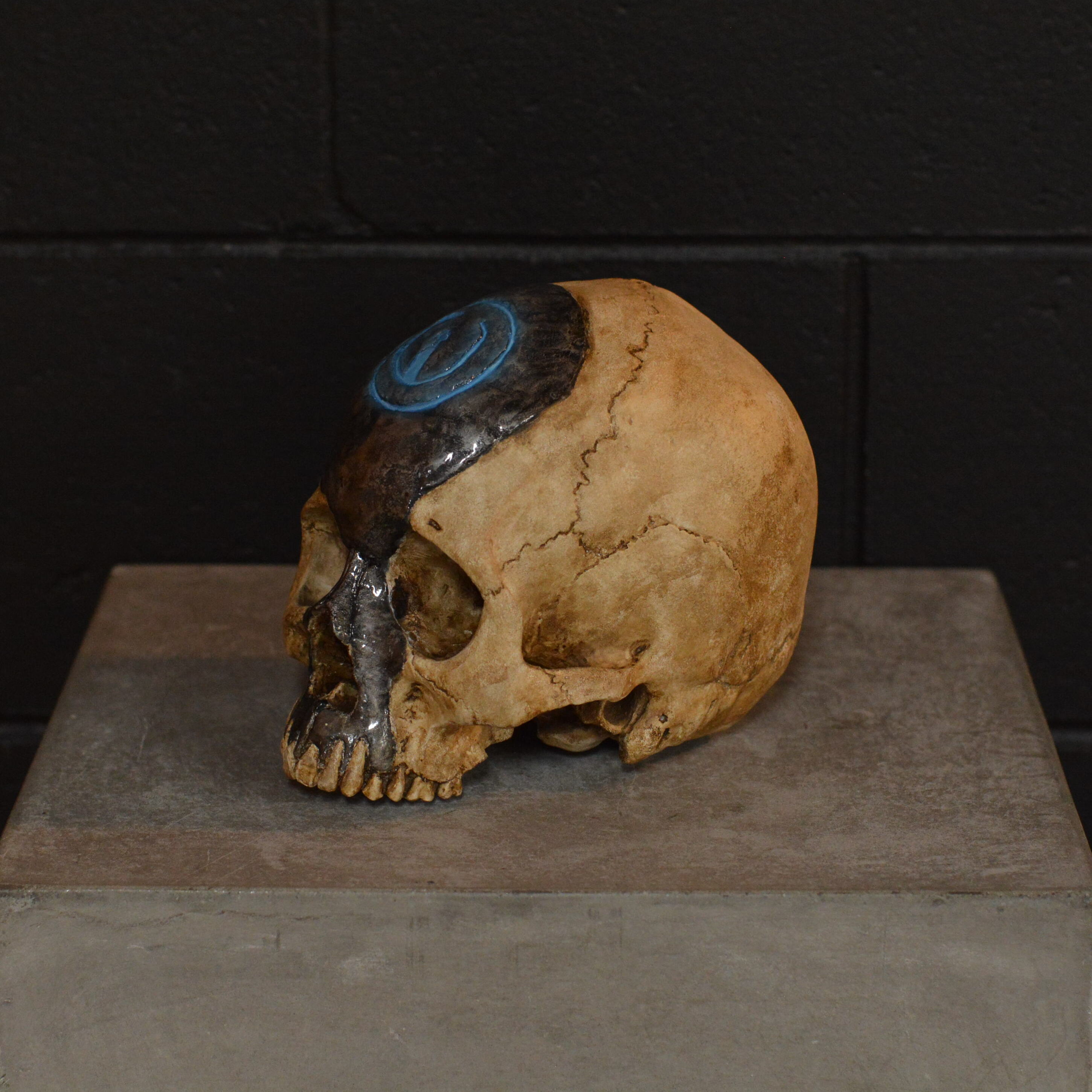 Human Skull - Birthday Party [EXPERIMENTAL PAINT]