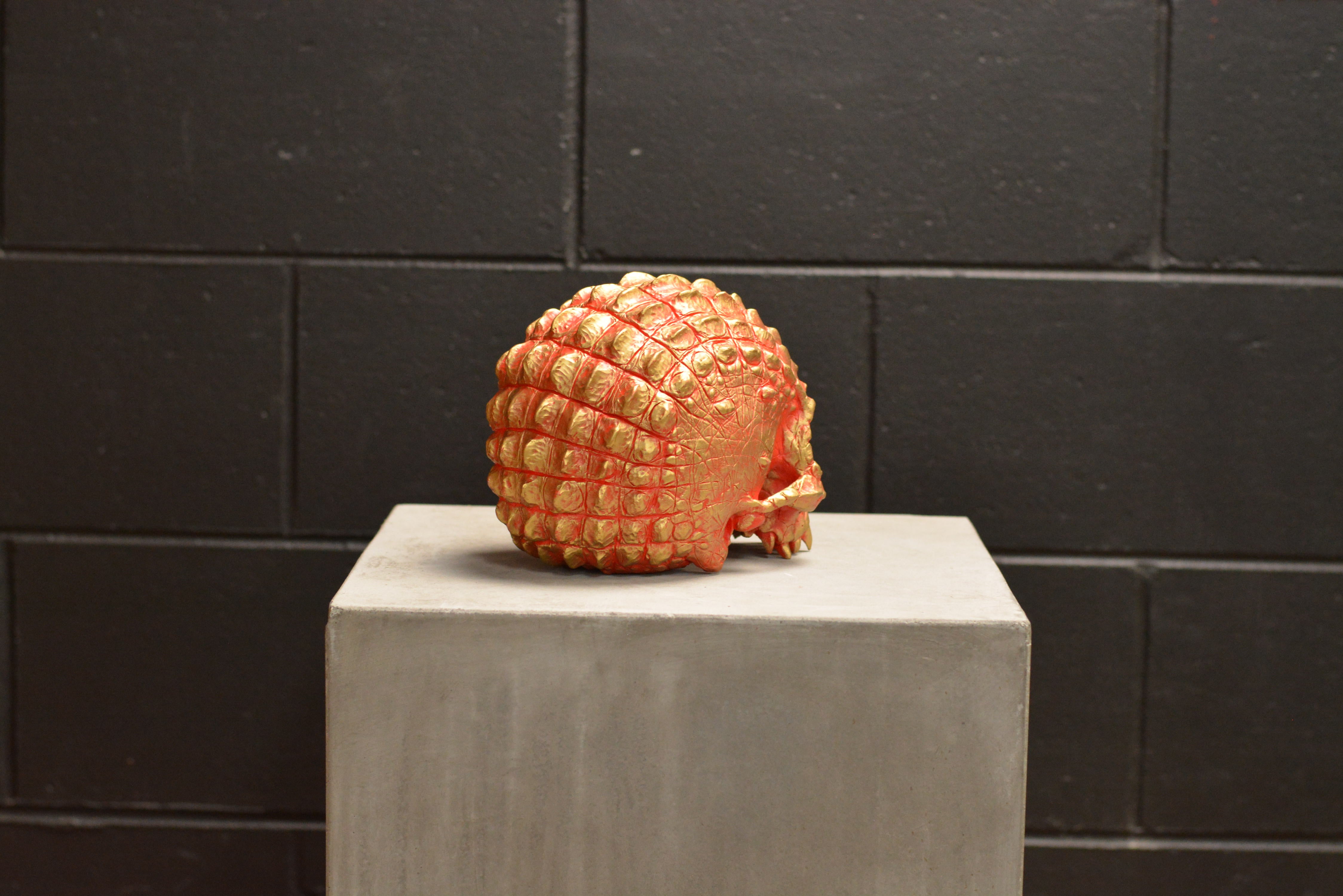 Croc Skull - Marilgold (EXPERIMENTAL PAINT)