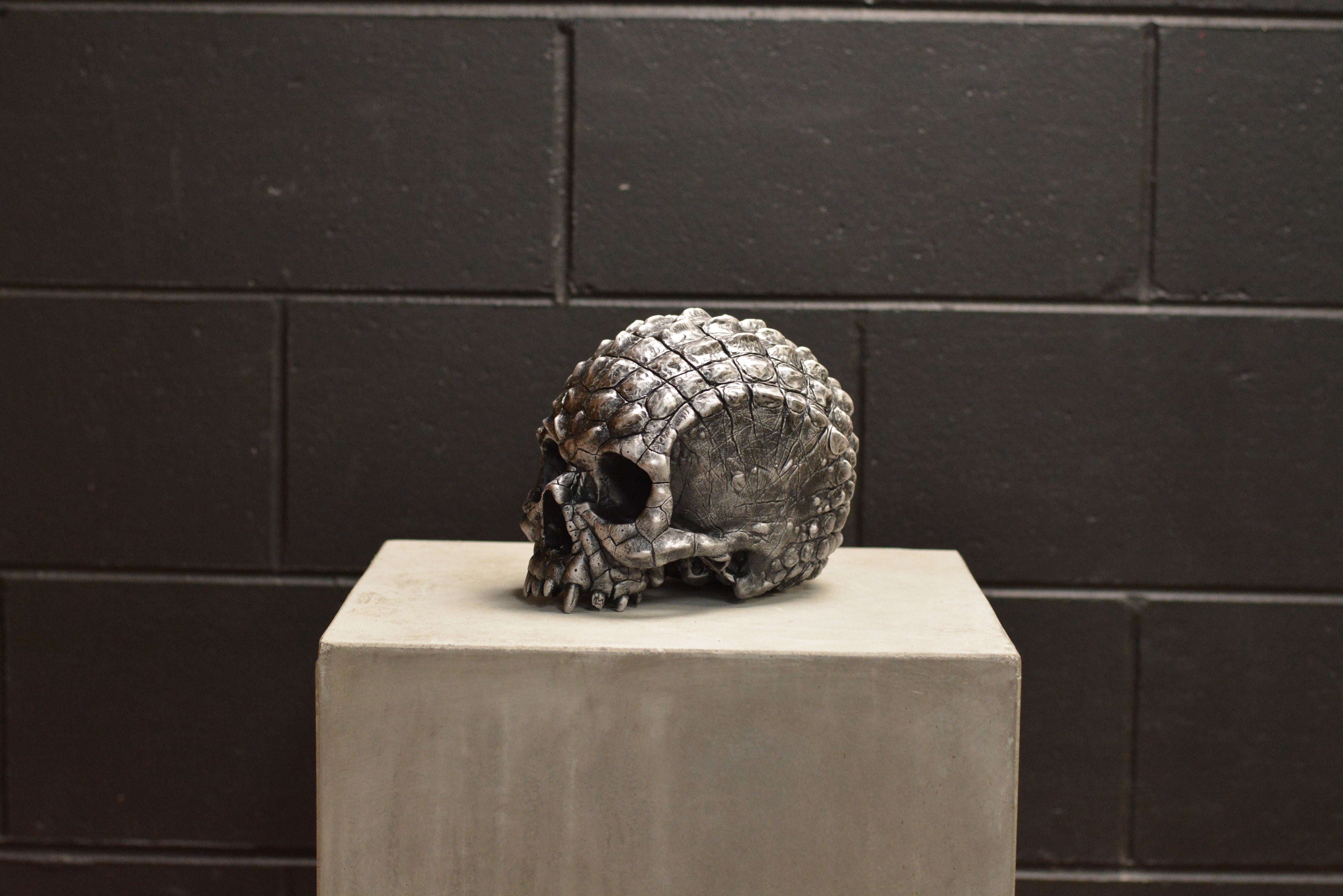 Croc Skull - Prototype Xll (EXPERIMENTAL PAINT)