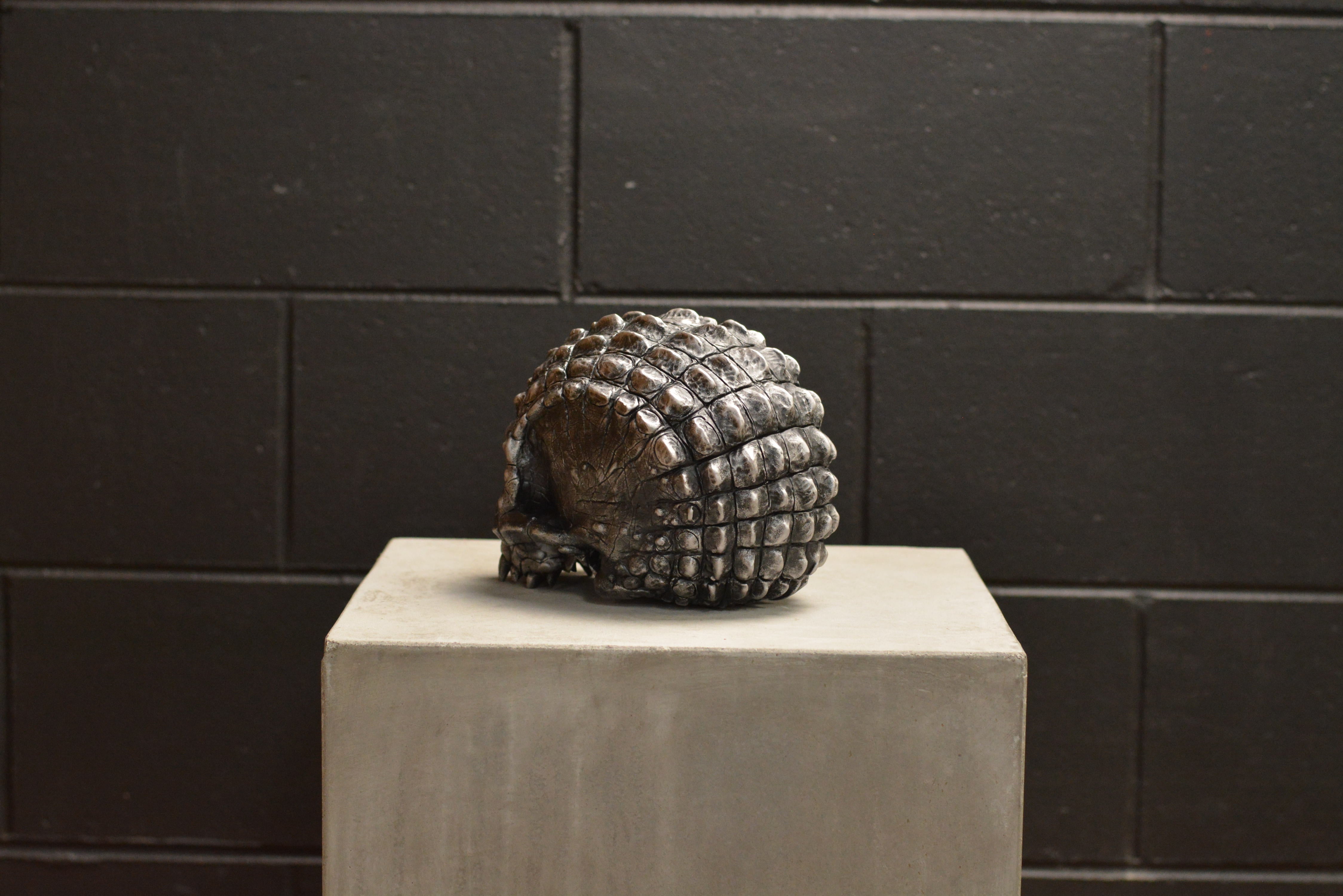 Croc Skull - Prototype Xll (EXPERIMENTAL PAINT)