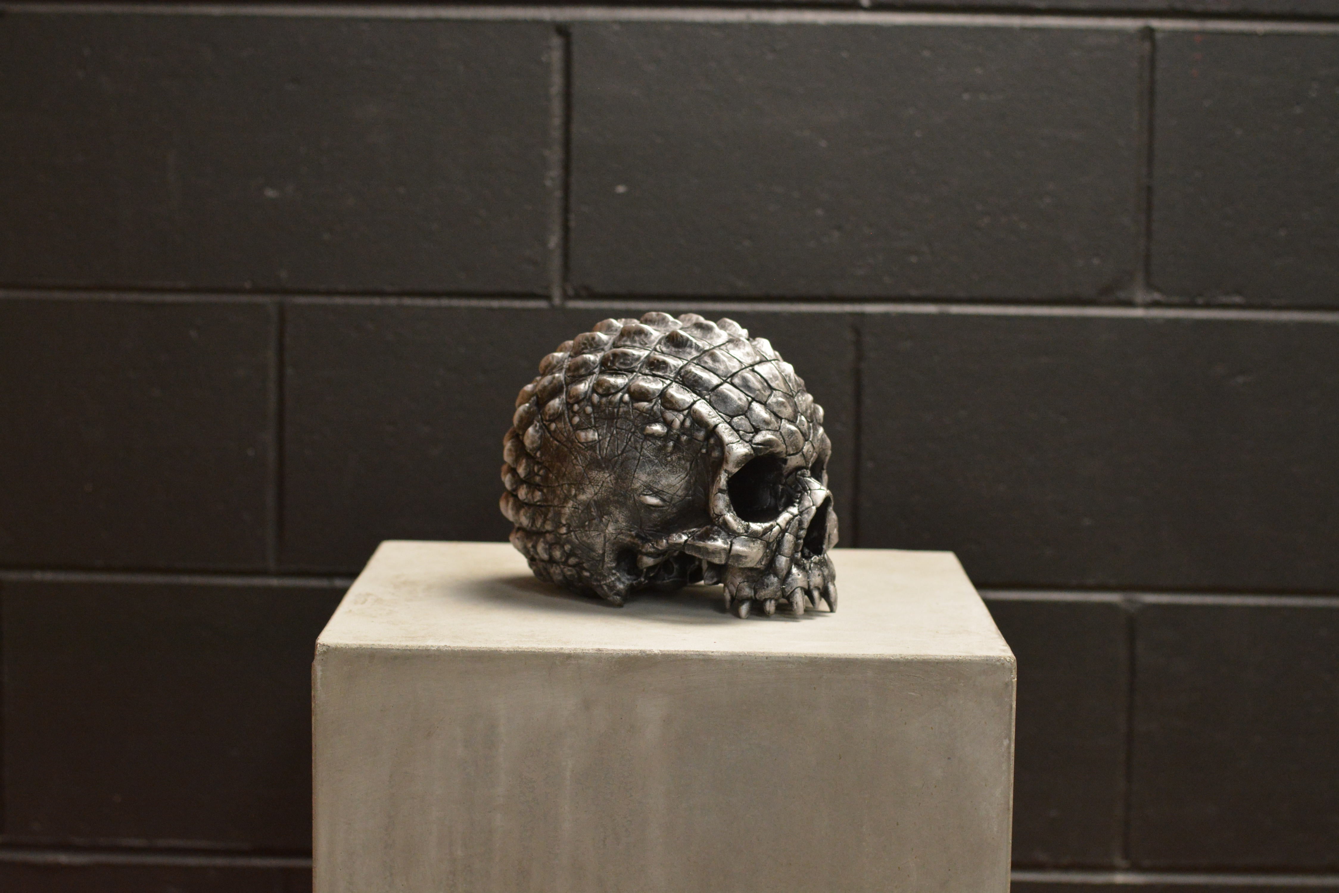 Croc Skull - Prototype Xll (EXPERIMENTAL PAINT)