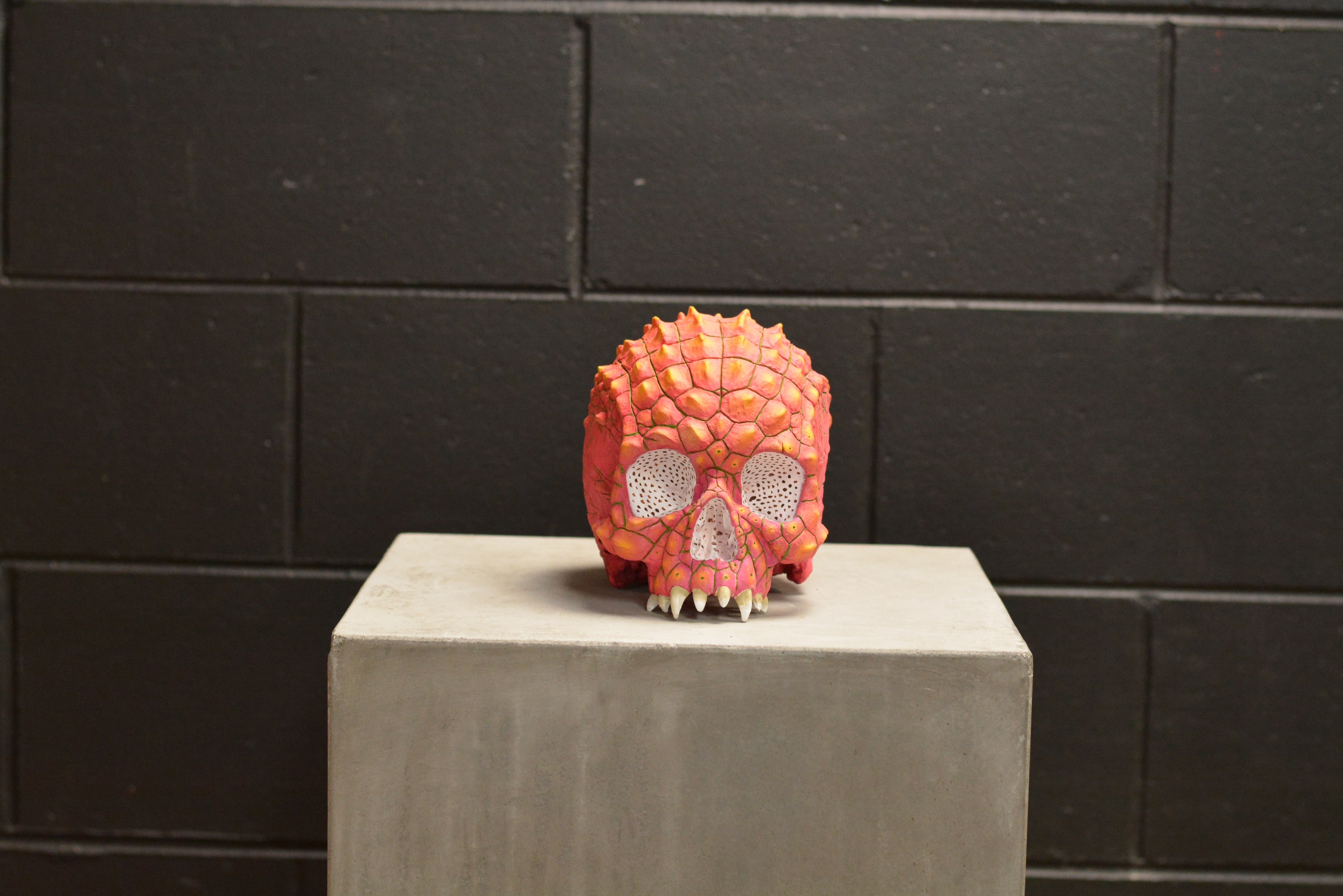 Croc Skull - Dragonfruit (EXPERIMENTAL PAINT)