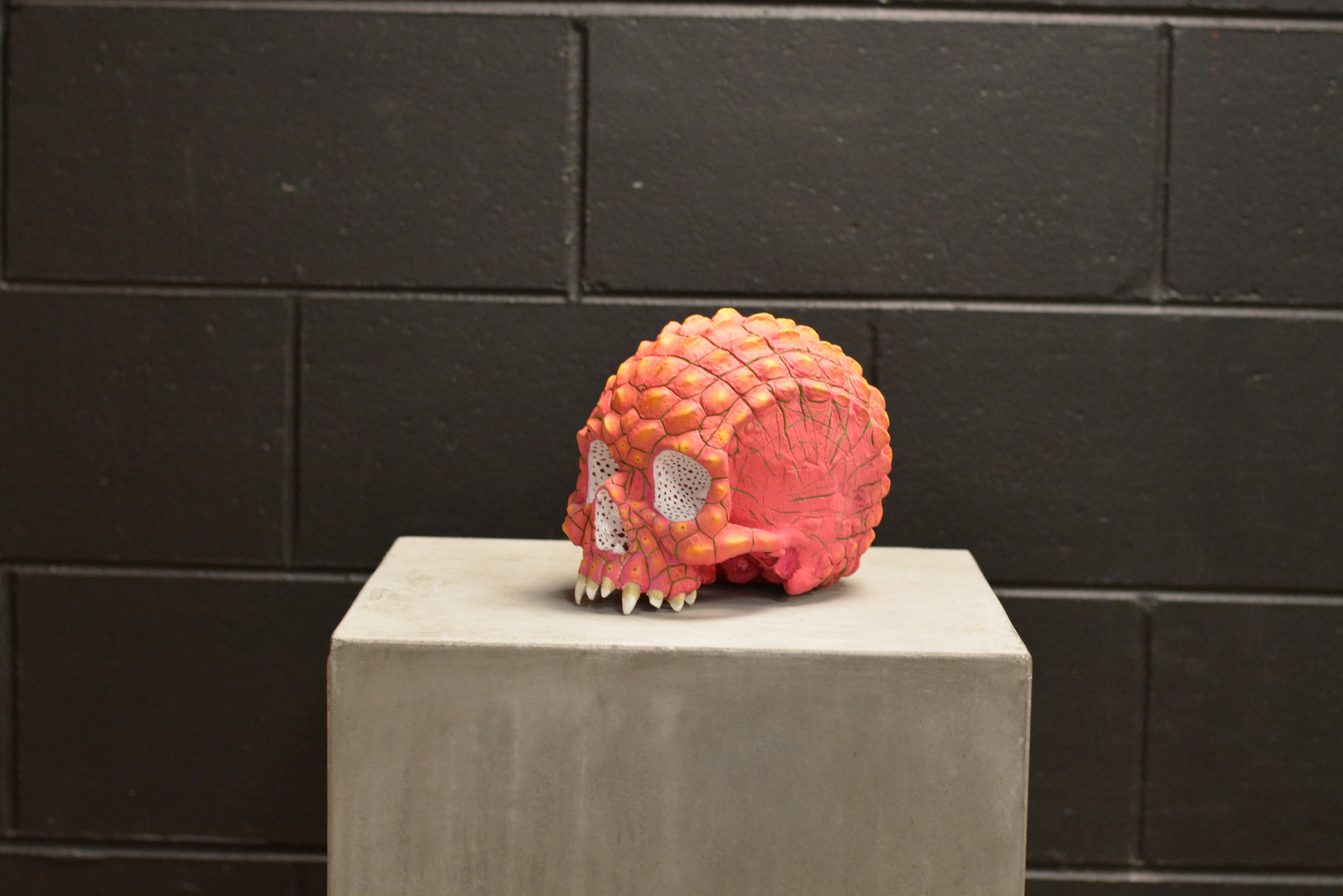 Croc Skull - Dragonfruit (EXPERIMENTAL PAINT)